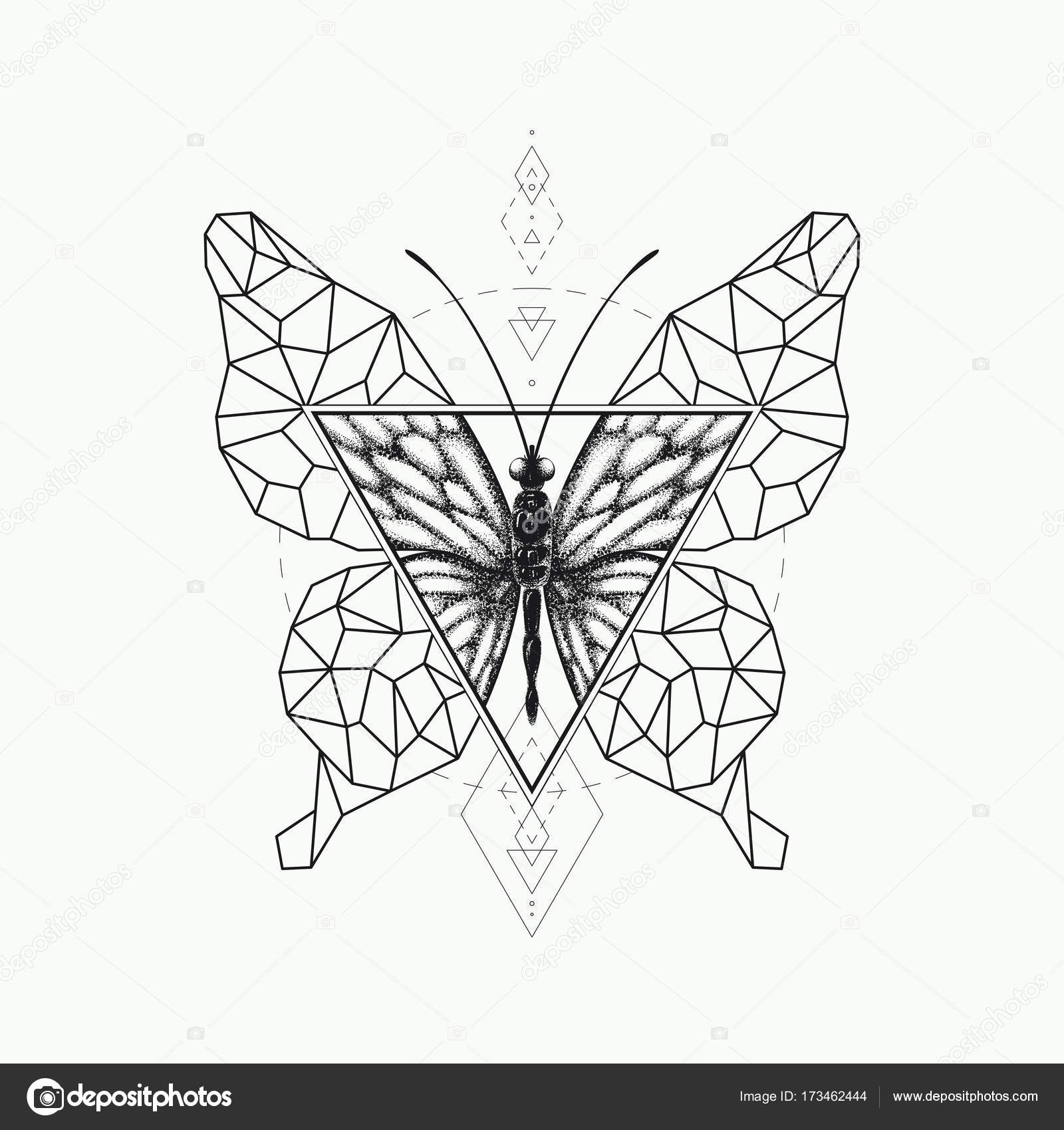 Vector graphical butterfly design. — Stock Vector © Zubroffka #173462444