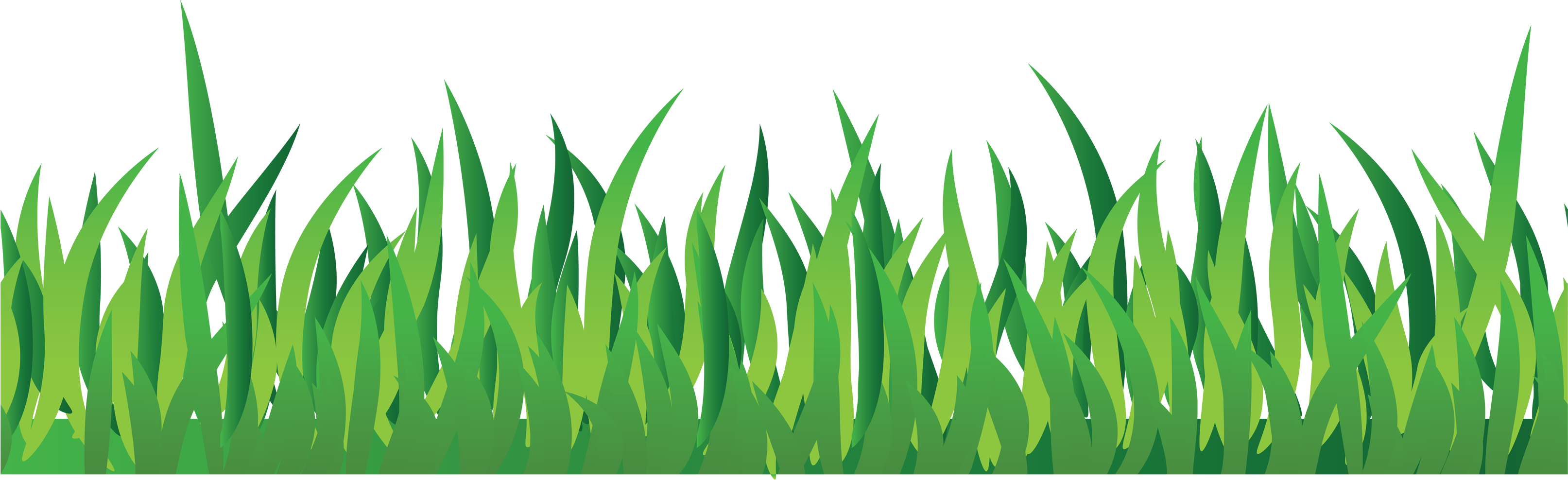 Grass In PNG | Web Icons PNG