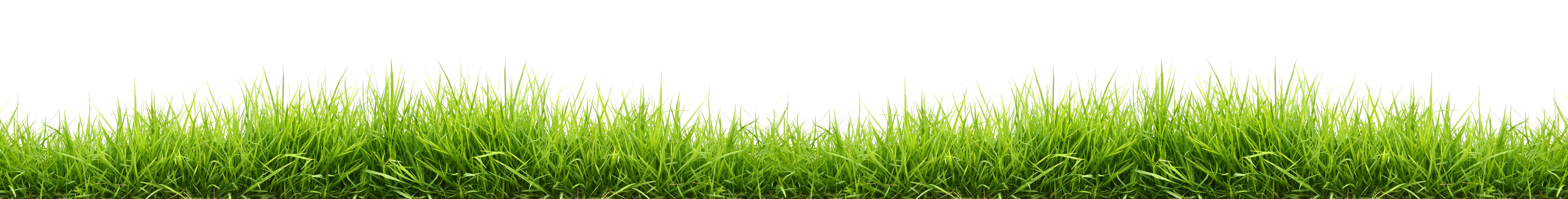 Green Press Grass – Northmate