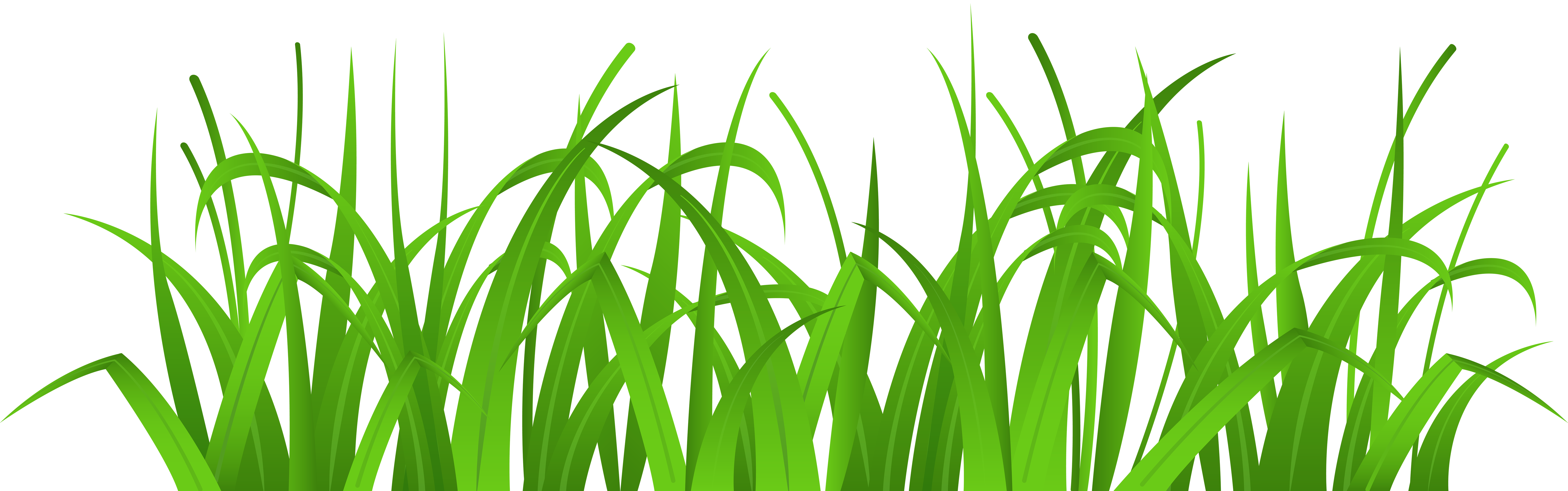 Grass Cover PNG Clip Art - Best WEB Clipart