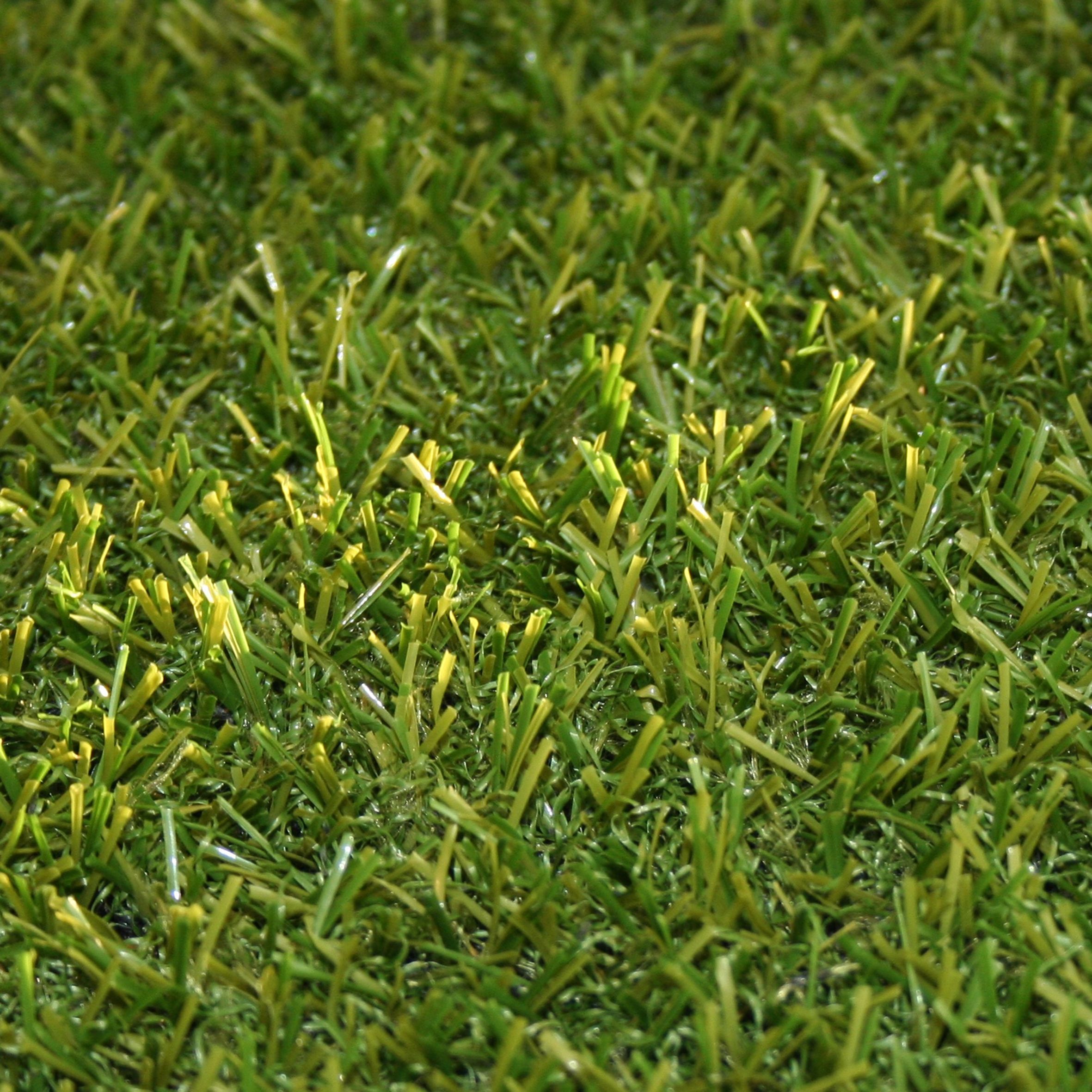 Marlow Medium Density Artificial Grass (W)2 M x (L)2M x (T)19mm ...