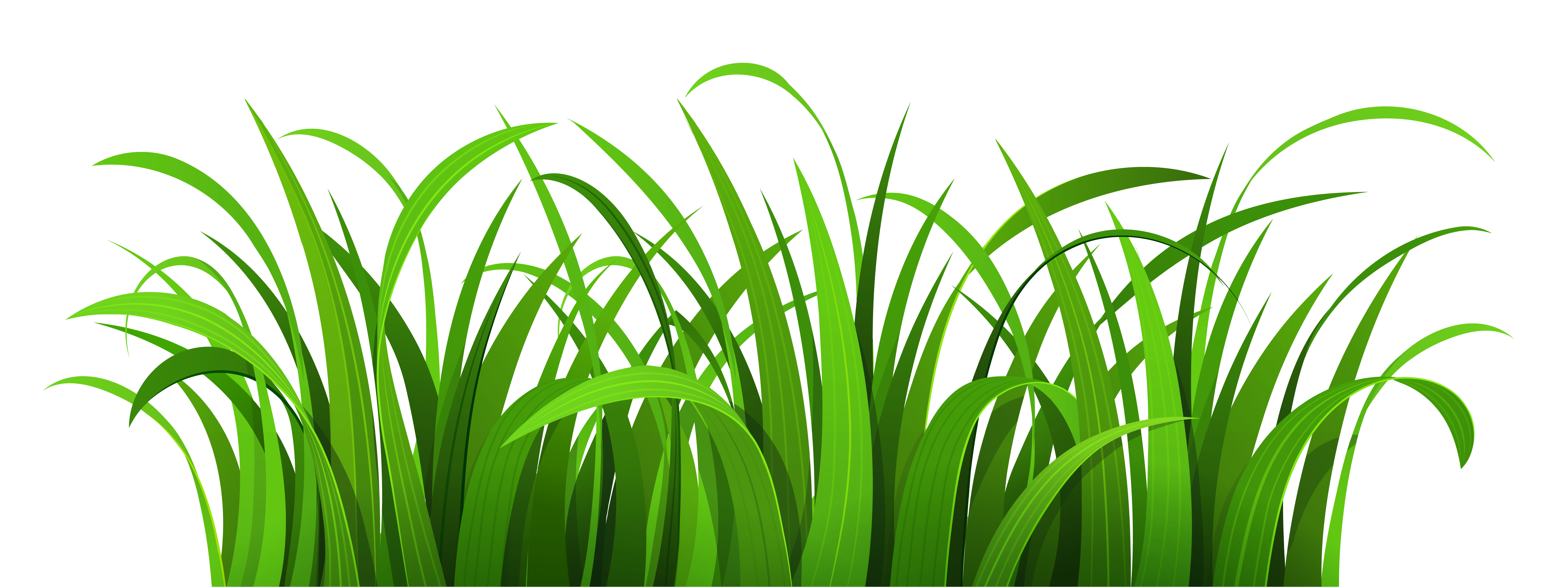 Grass Patch PNG Clipart | Clipart Panda - Free Clipart Images