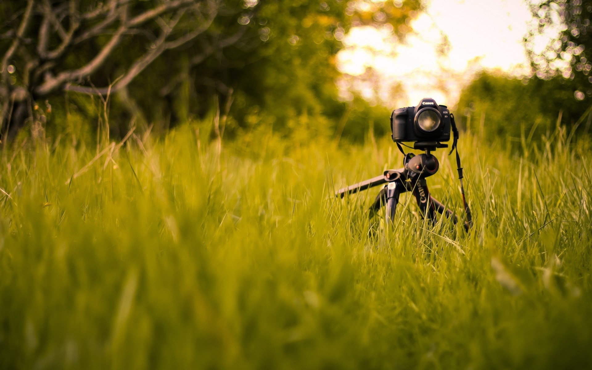 16576-canon-camera-in-the-grass-1920×1200-photography-wallpaper ...