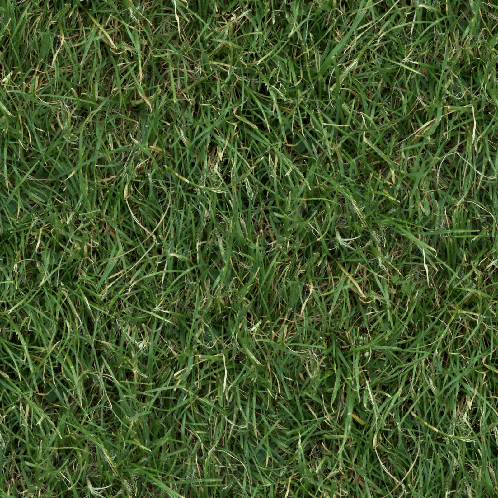 High Resolution Seamless Textures: (GRASS 3) turf lawn green ground ...
