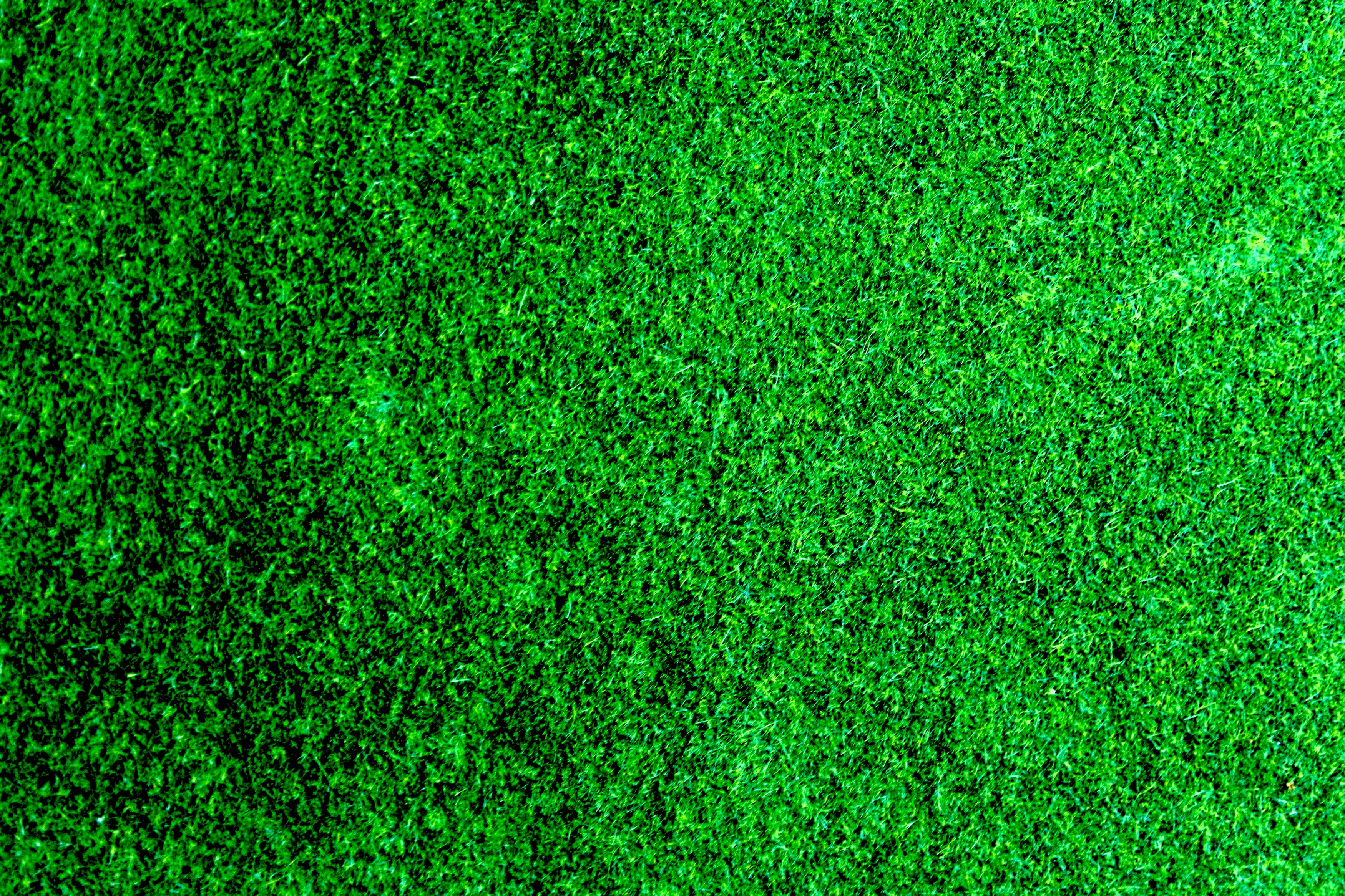 Free stock photos of grass background · Pexels