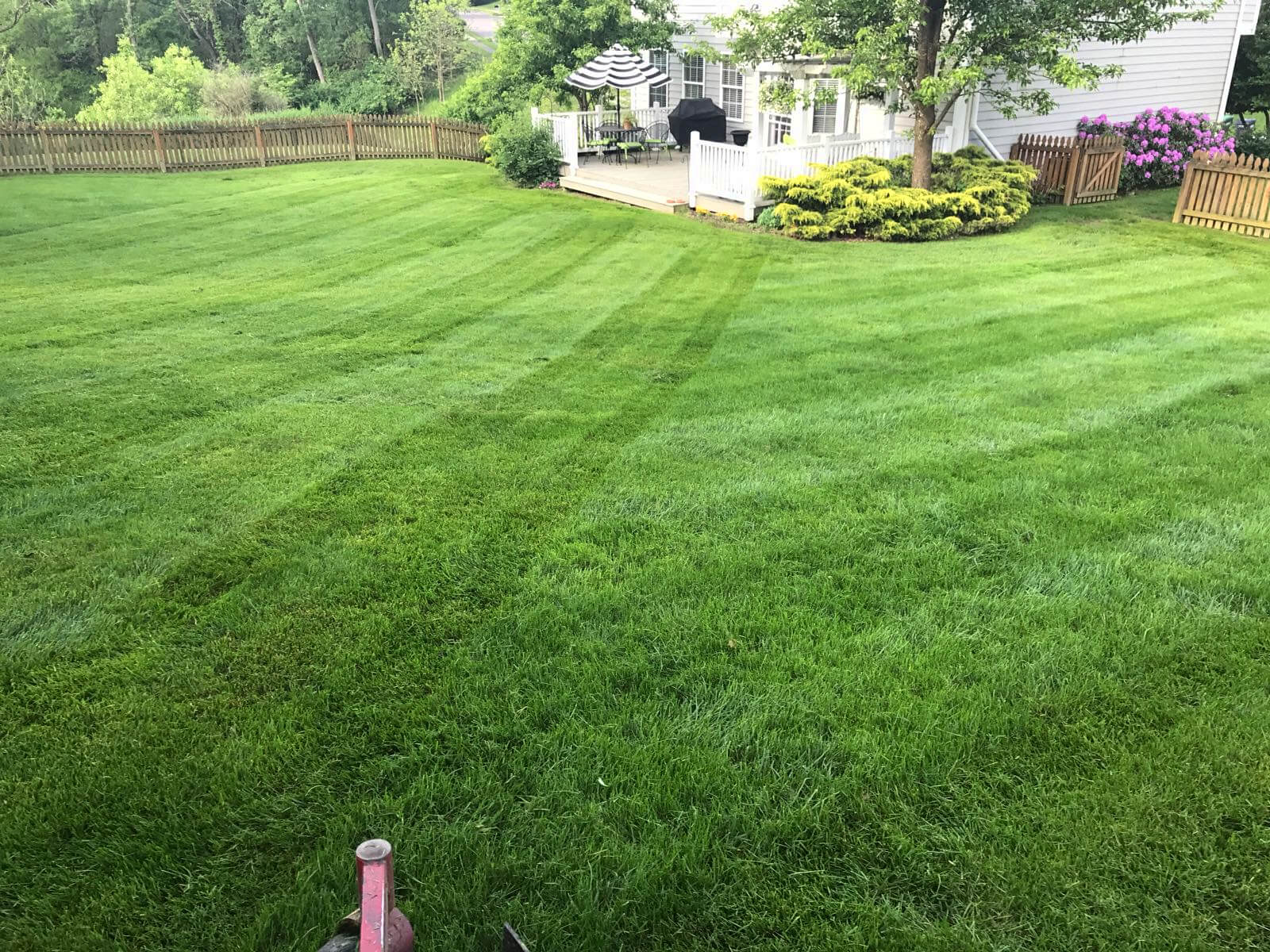 Grass Cutting & Lawn Maintenance | Treesdale Landscape Company