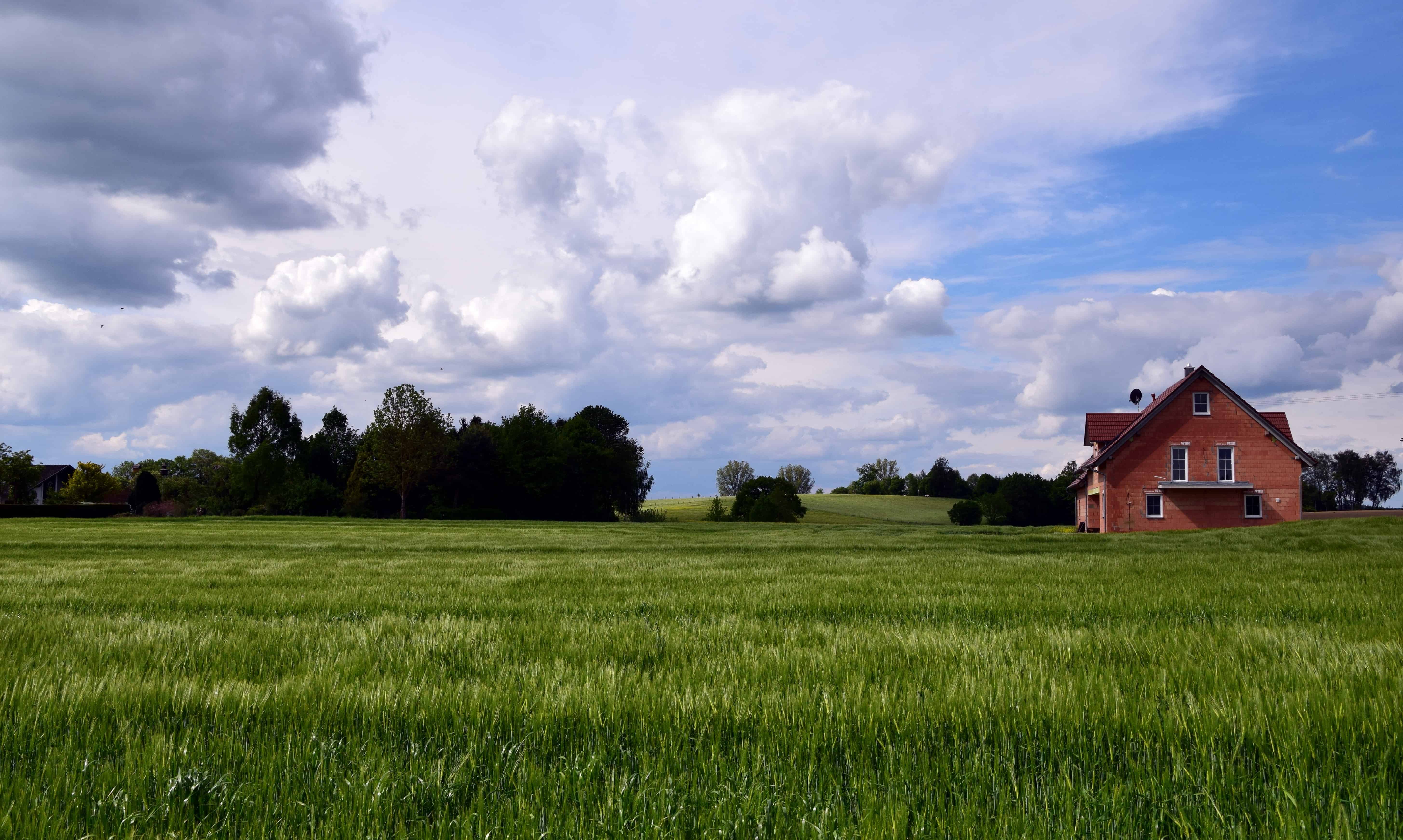 Free picture: landscape, agriculture, blue sky, cloud, green grass ...