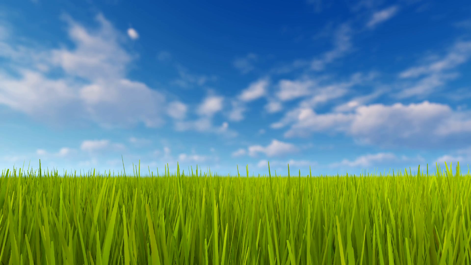 Simple natural background with closeup of fresh green grass field ...
