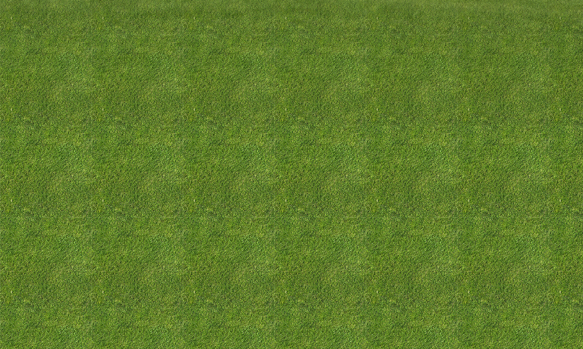 Grass texture seamless 4k