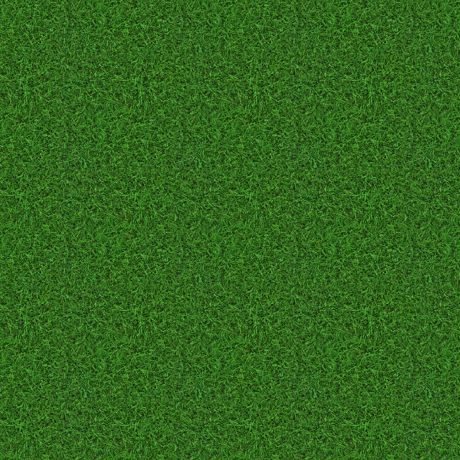 High Resolution Seamless Textures: Grass Choppy Green Seamless Texture