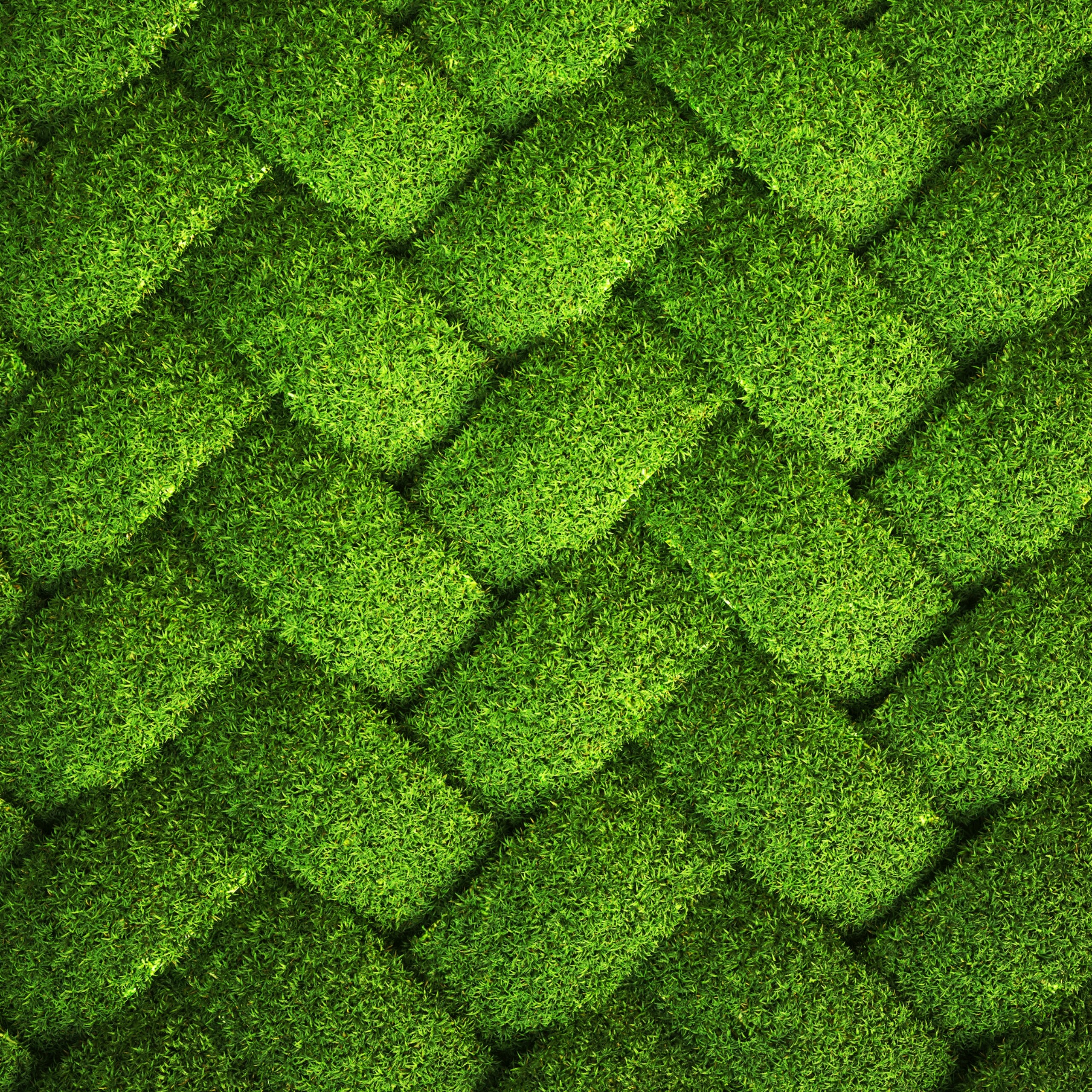 A Woven Pattern Of Grass Abstract QHD Wallpaper 2560x2560 ...
