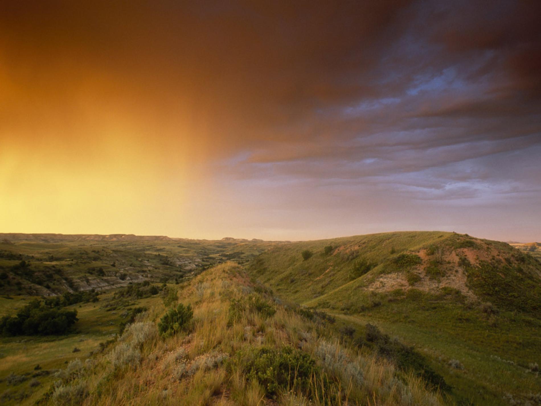 Grasslands Information and Facts | National Geographic