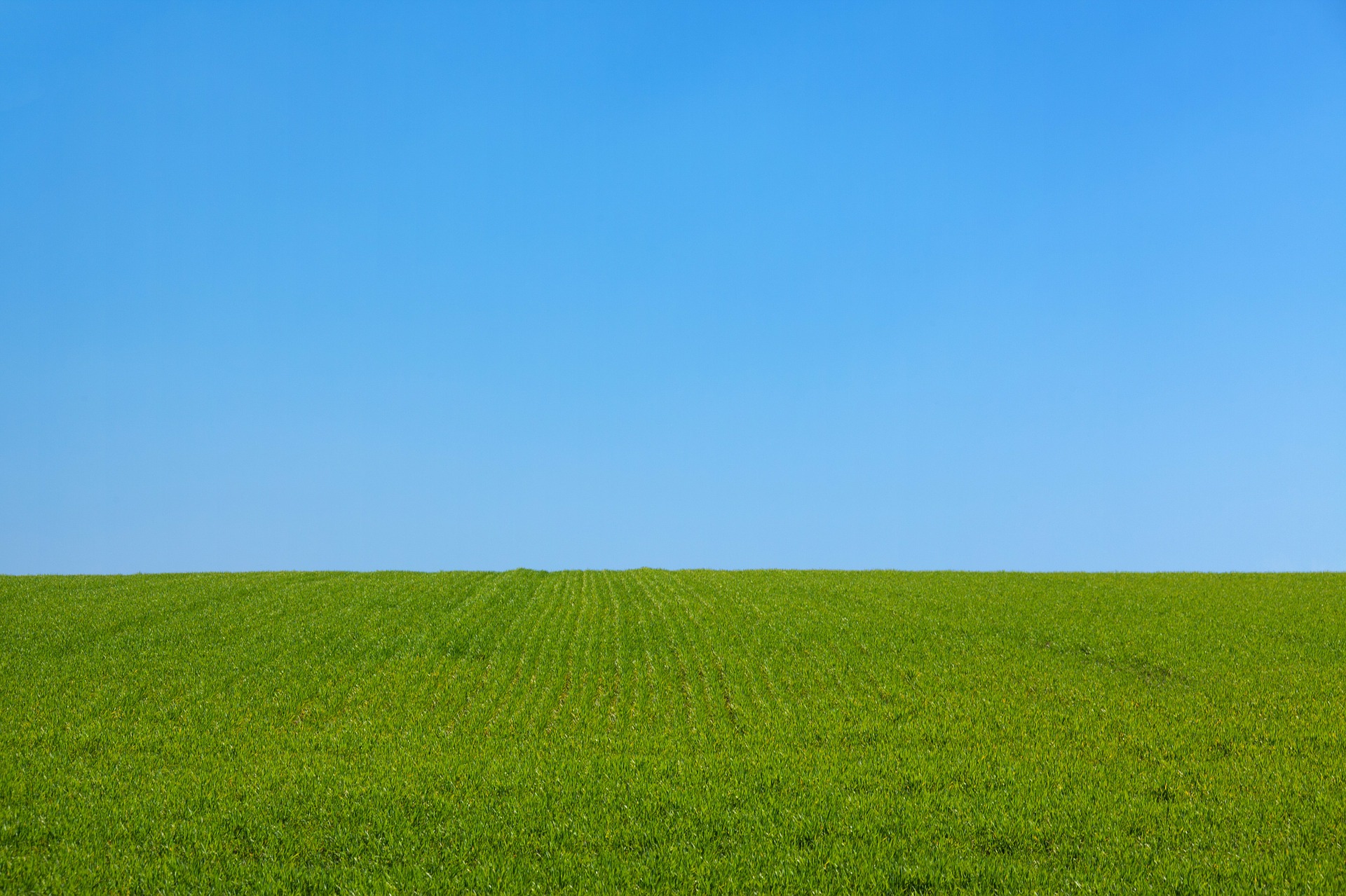 Free Photo Grassy Field Field Grass Grassy Free Download Jooinn