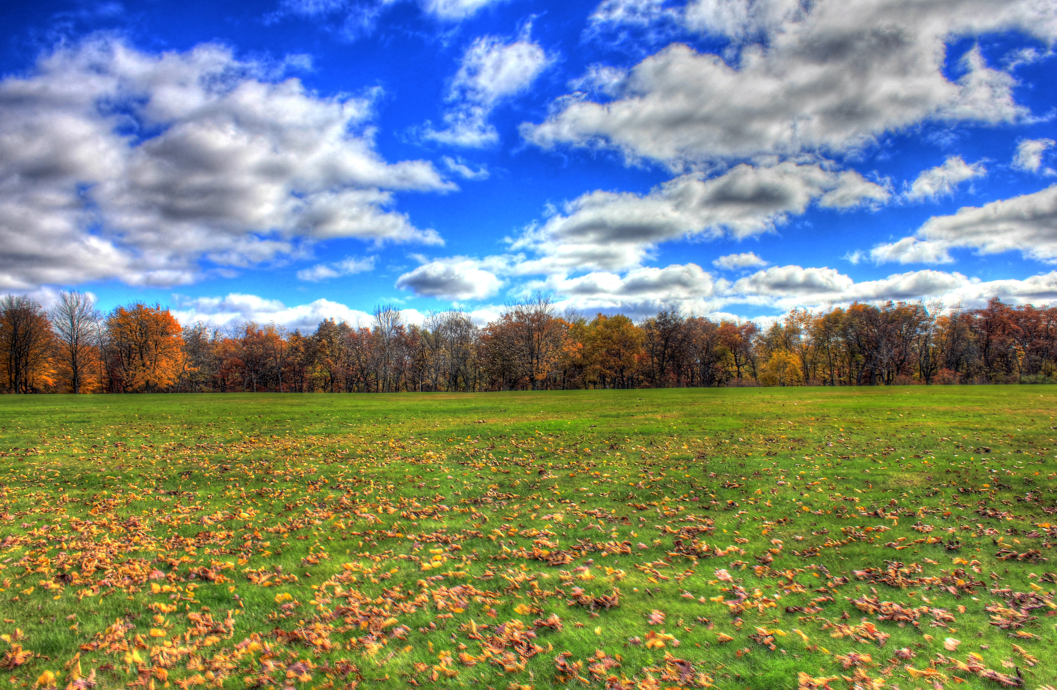 Grassy Meadow in Blue Mound State Park, Wisconsin image - Free stock ...