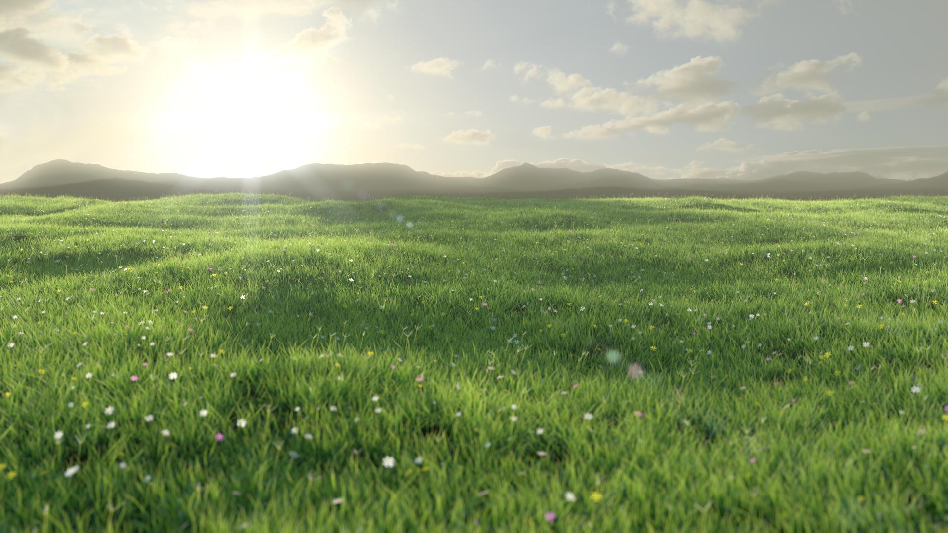 Grassy Meadow (The Nature Academy) : blender