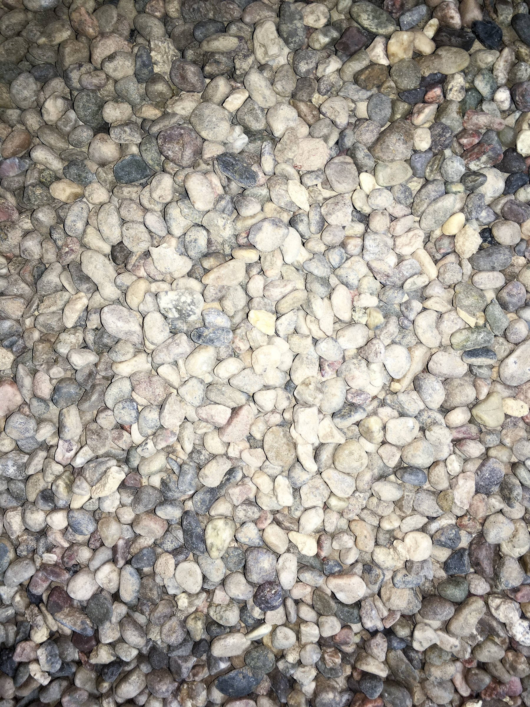 Gravel | Crusher Fines and Ground Cover Rock for your Xeriscape