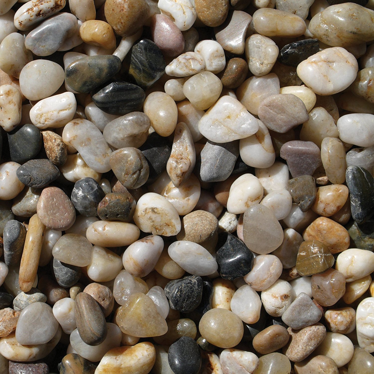 Amazon.com : Exotic Pebbles PMS0510 Polished Gravel, Mixed, 5 Pounds ...