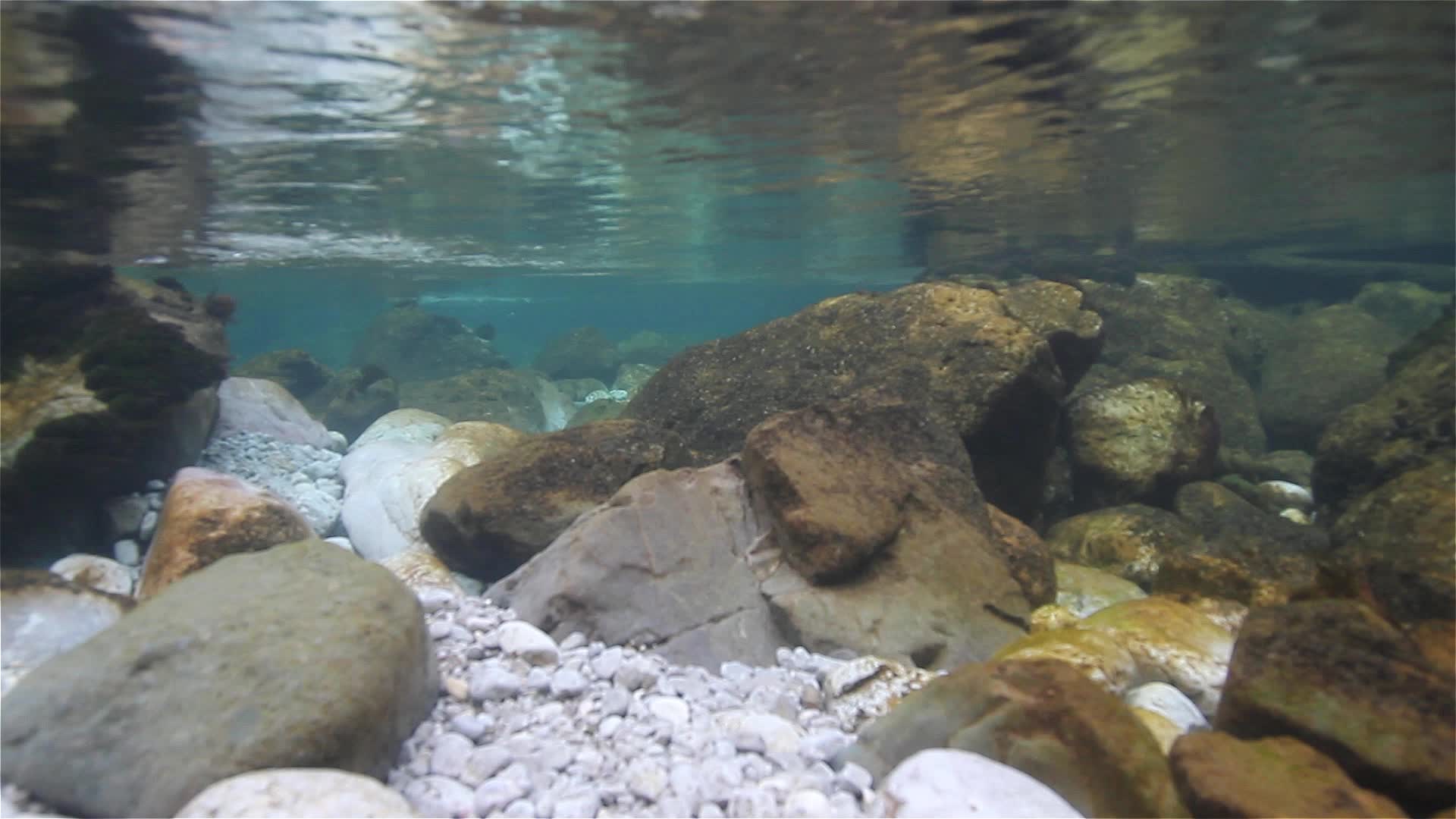 File:Piva river underwater. Bottom covered in rocks and gravel.webm ...