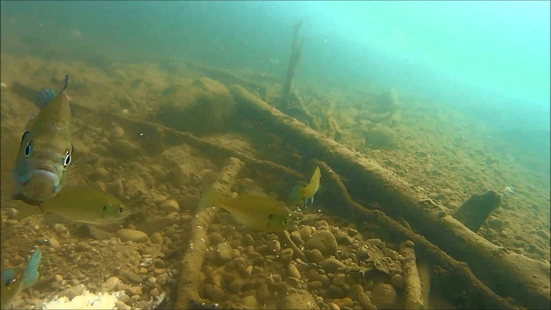 Underwater Camera in the Gravel Pit - YouTube