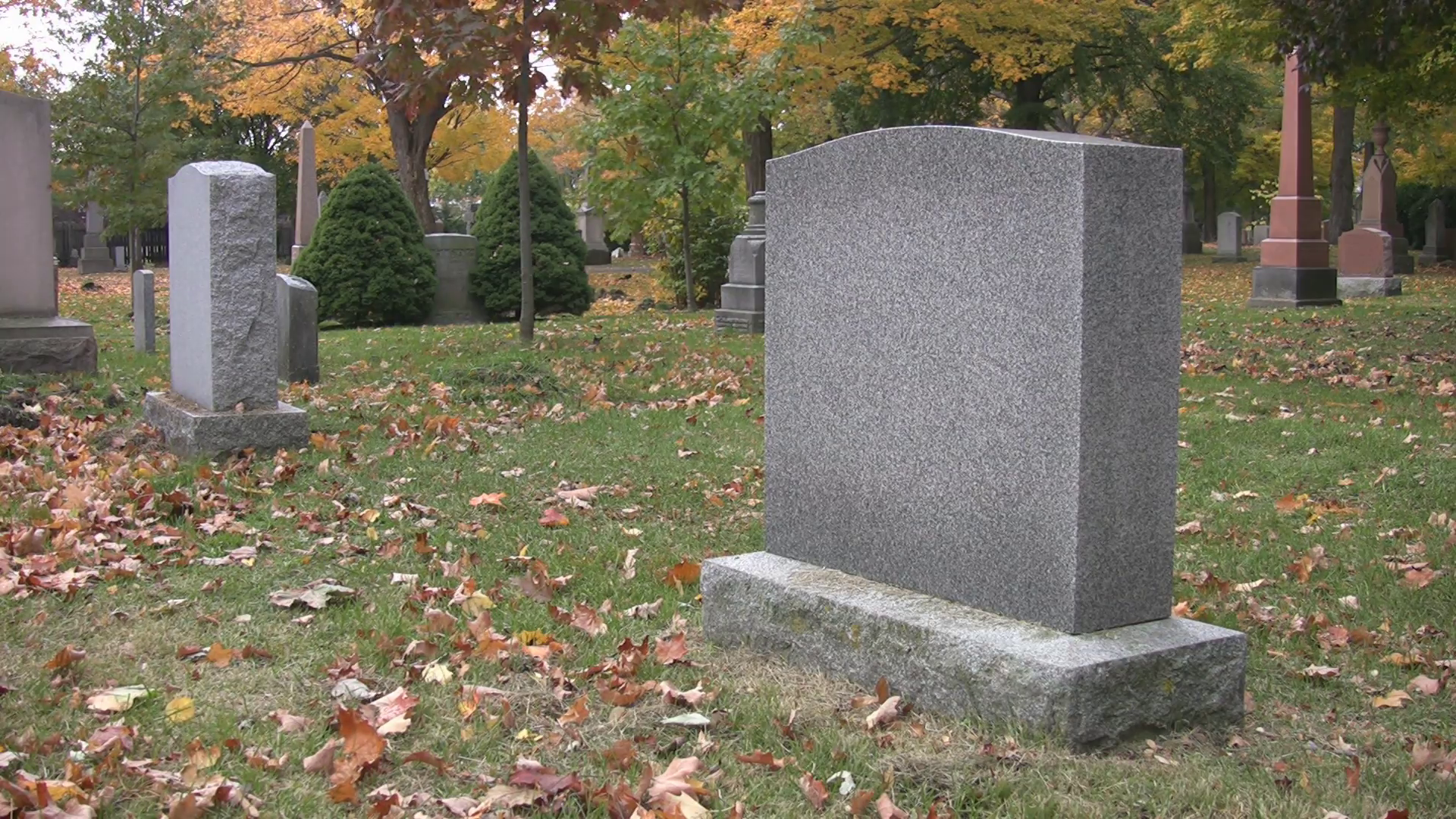 Blank gravestone in autumn cemetery. Stock Video Footage - Videoblocks
