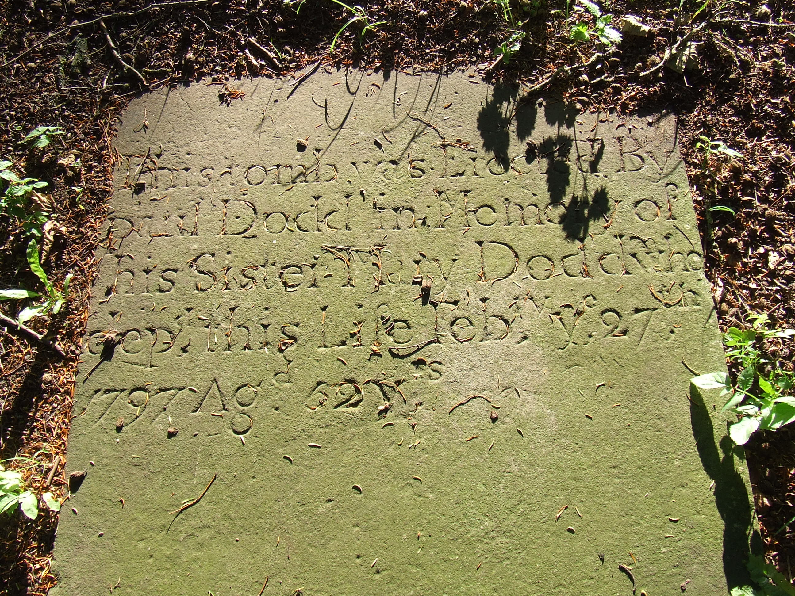 Stories from Portnahinch Co. Laois | Historic Graves Blog