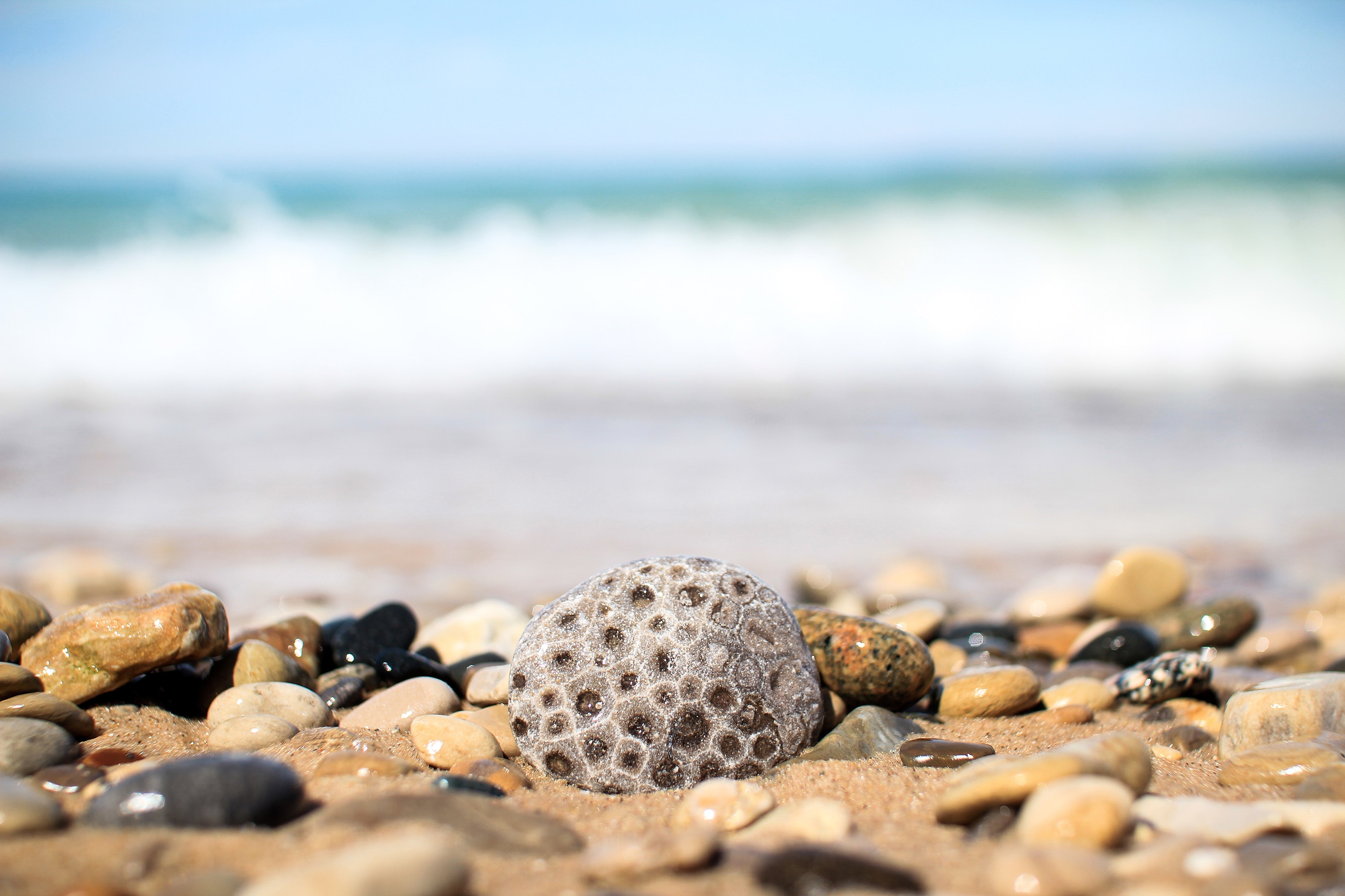 Gray and brown pebbles near sea photo