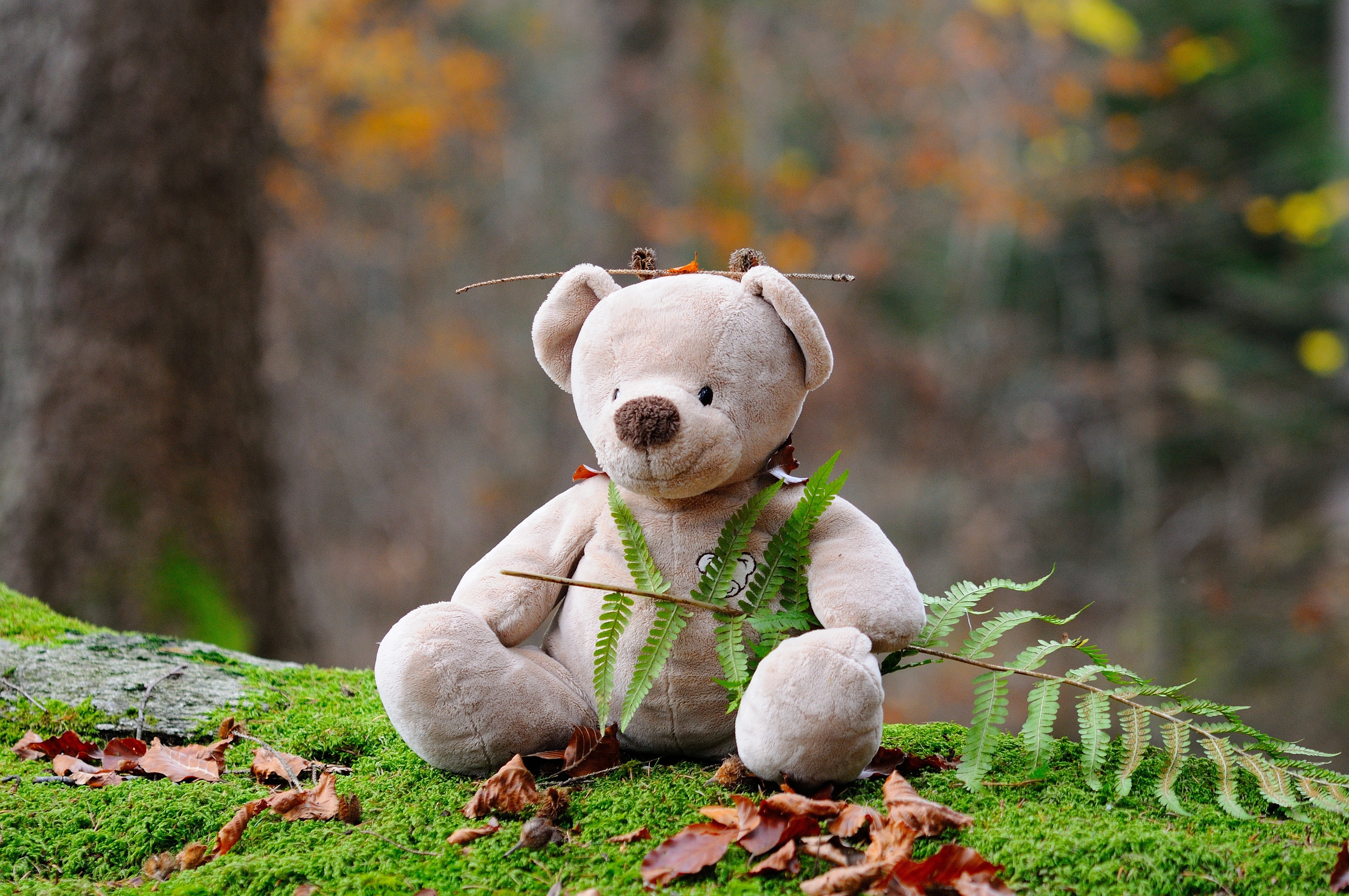 Gray bear plush toy on green grass during daytime photo