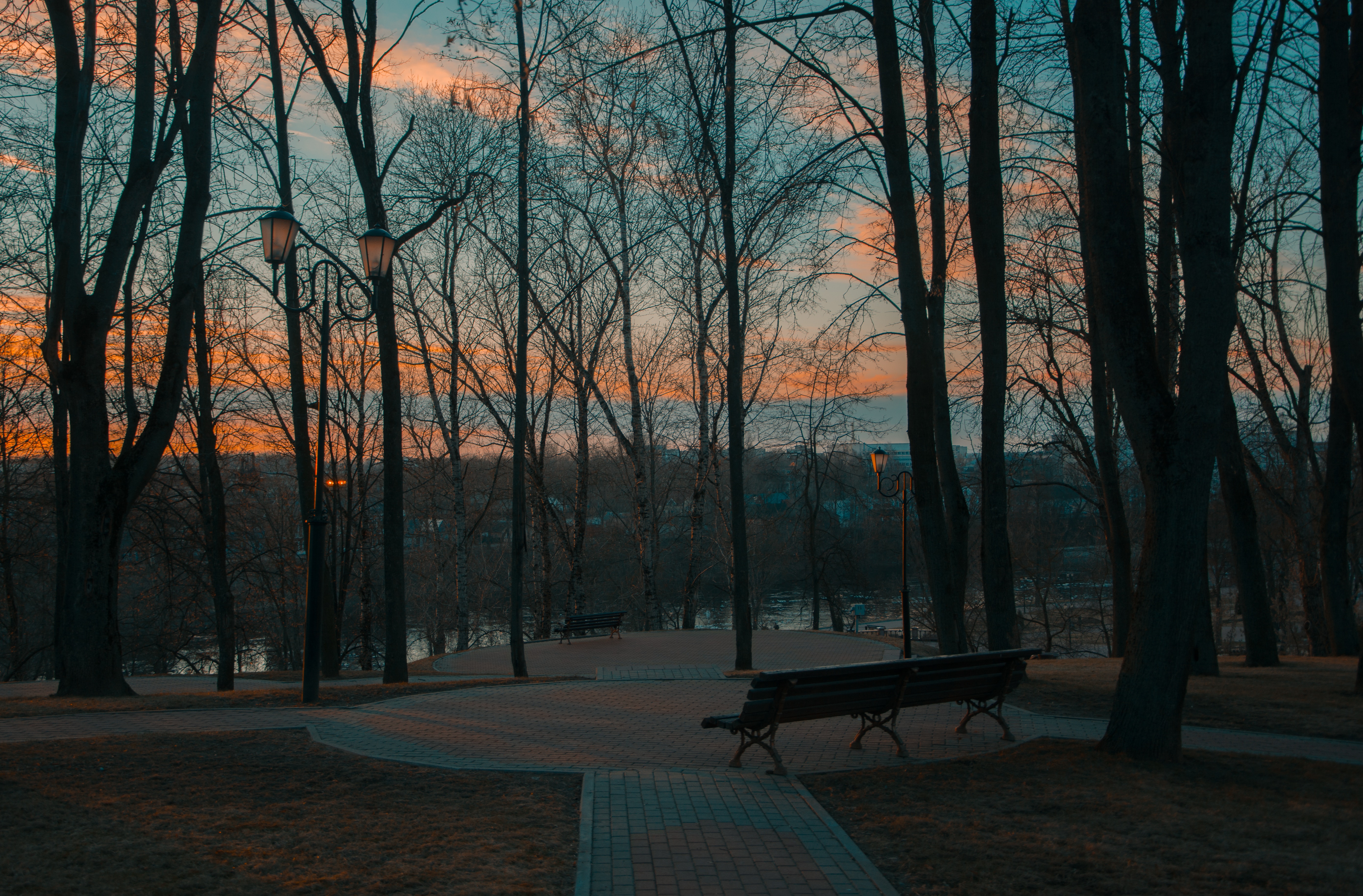 Gray Forest at Sunrise, Bench, Lights, Water, Trees, HQ Photo