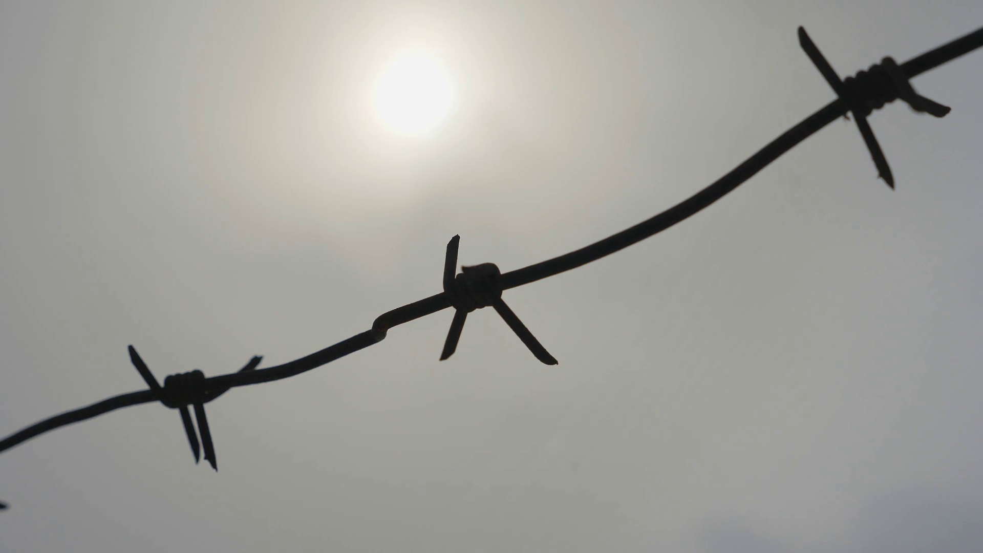 barbed wire on a gray sky background Stock Video Footage - Videoblocks