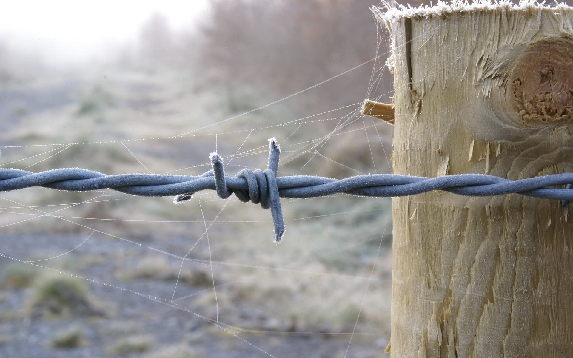 Closeup photography of gray barb wire beside brown wooden post HD ...