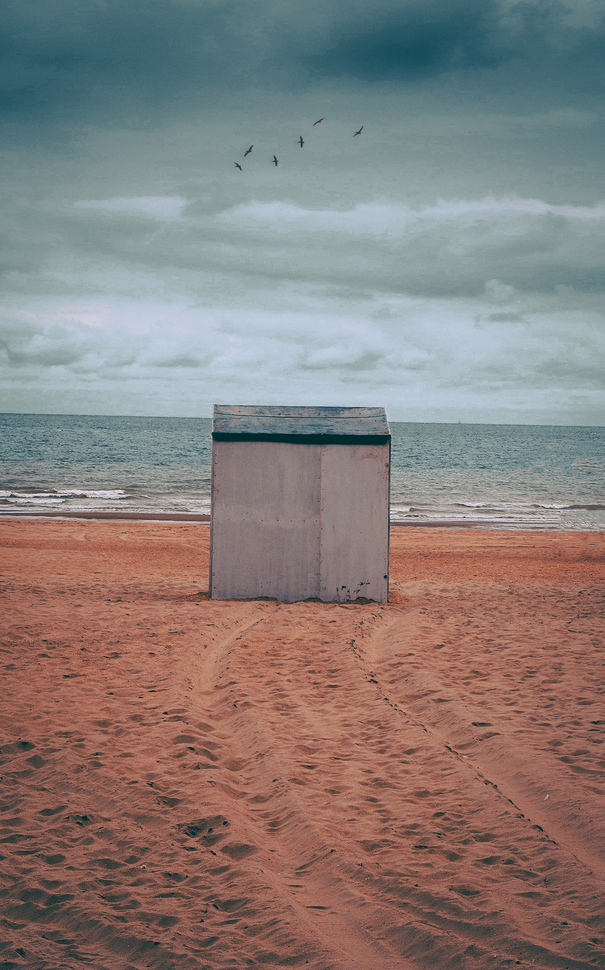 Gray storage shed on brown sand photo
