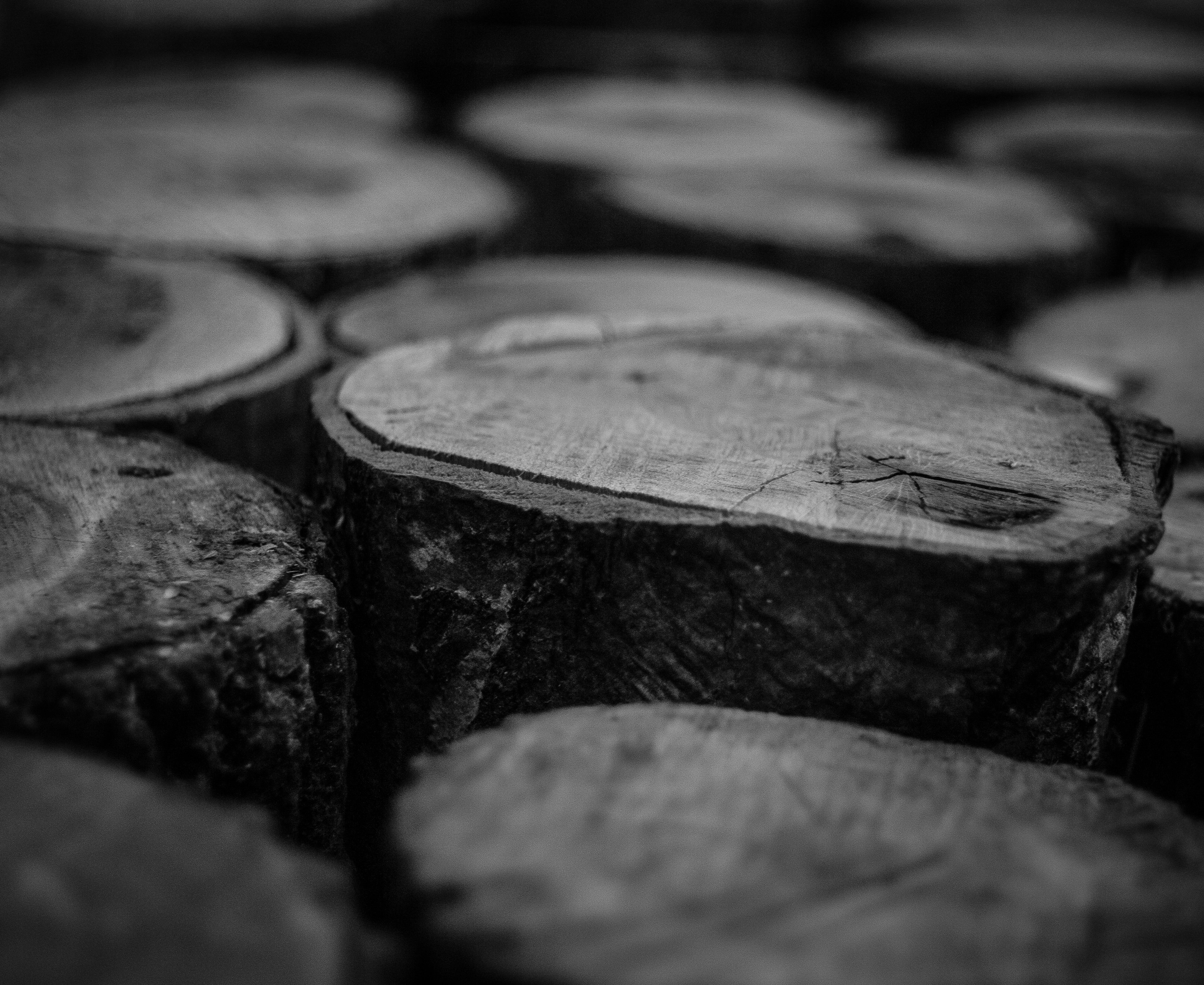 Grayscale Photo of Wood Logs, Black and white, Chopped wood, Close-up, Close -up, HQ Photo