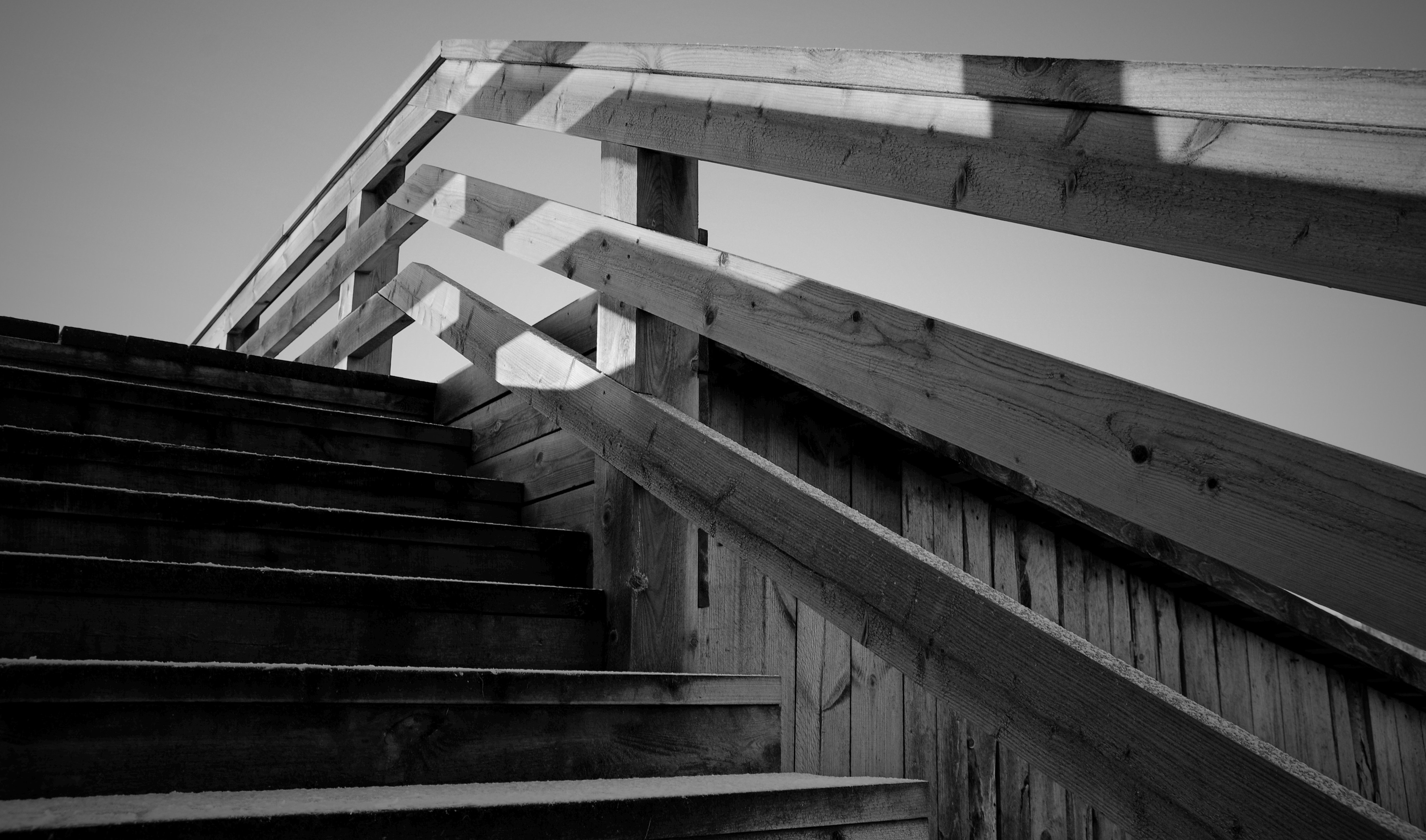 Grayscale photo of wooden stairs