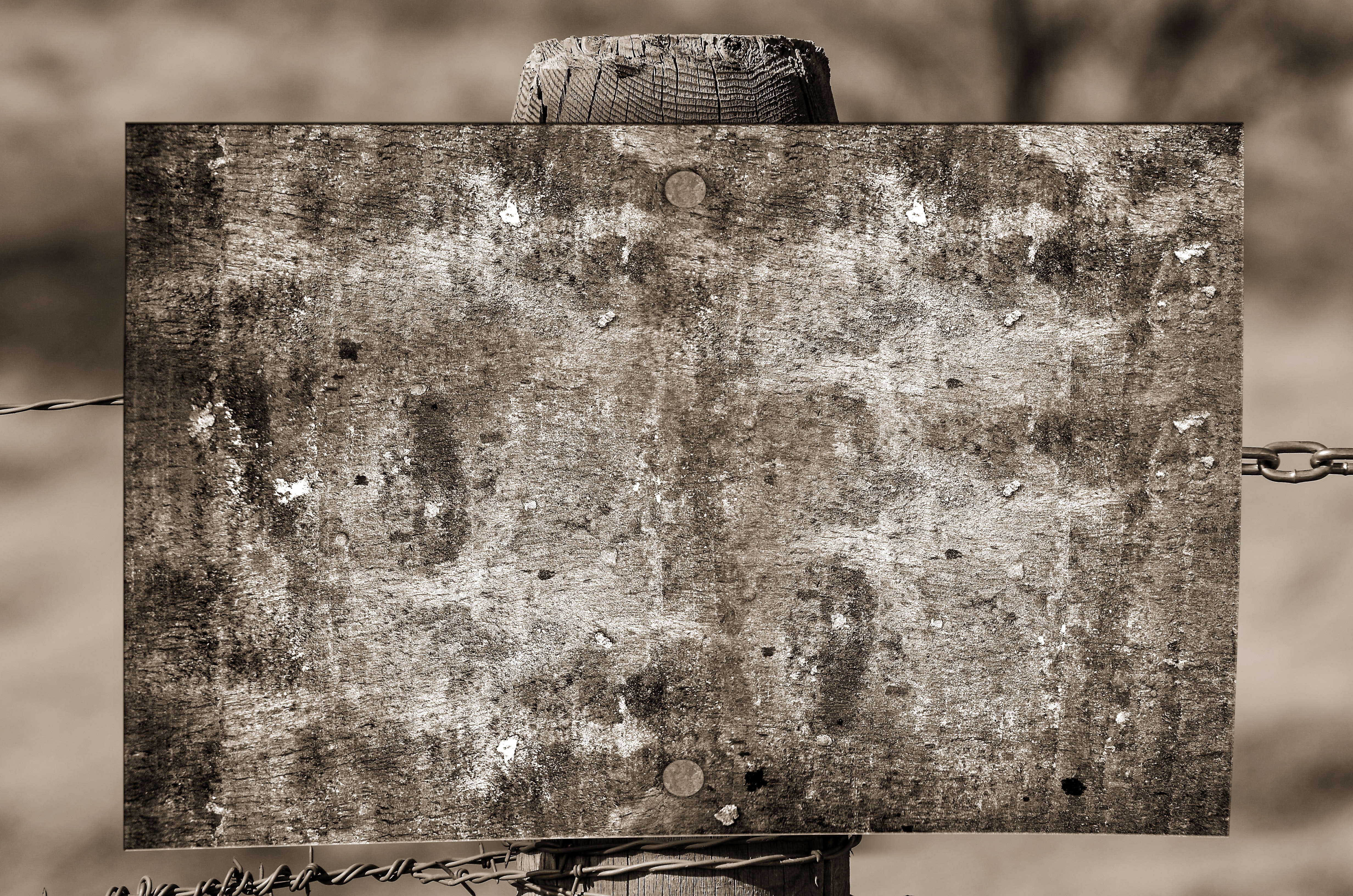 Grayscale photography of brown wooden board on fence