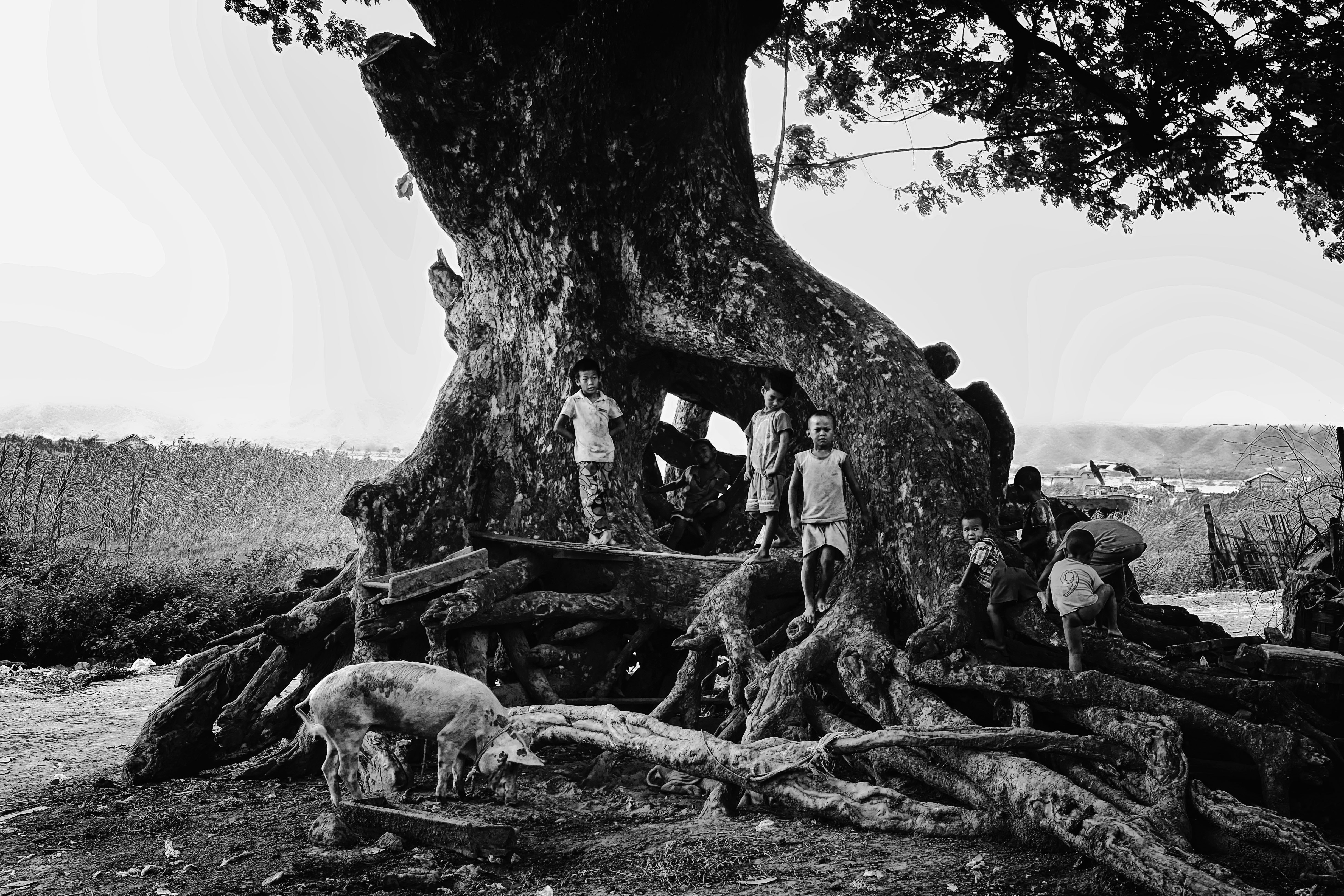 Grayscale photography of children stands near tree