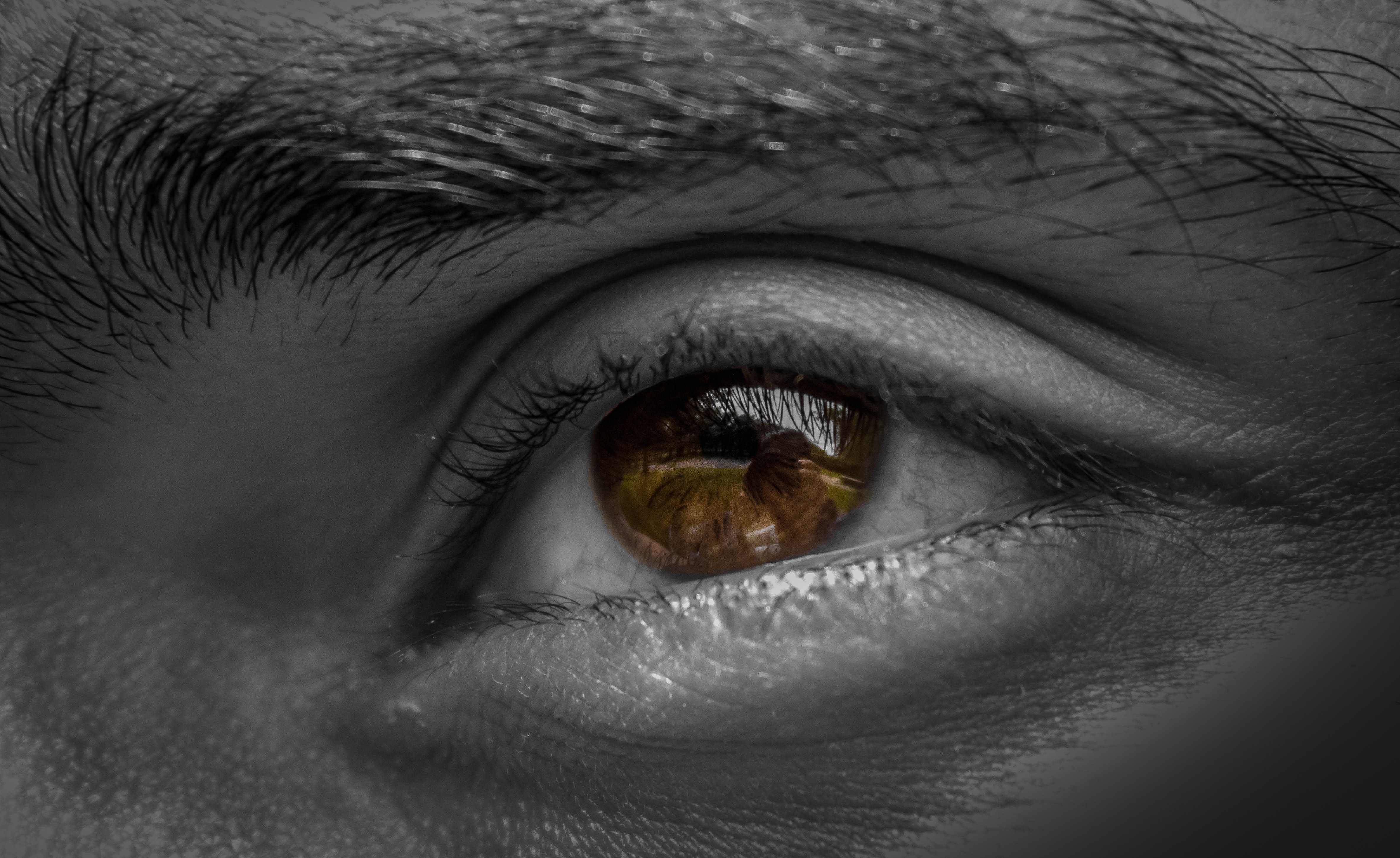 Grayscale photography of human left eye