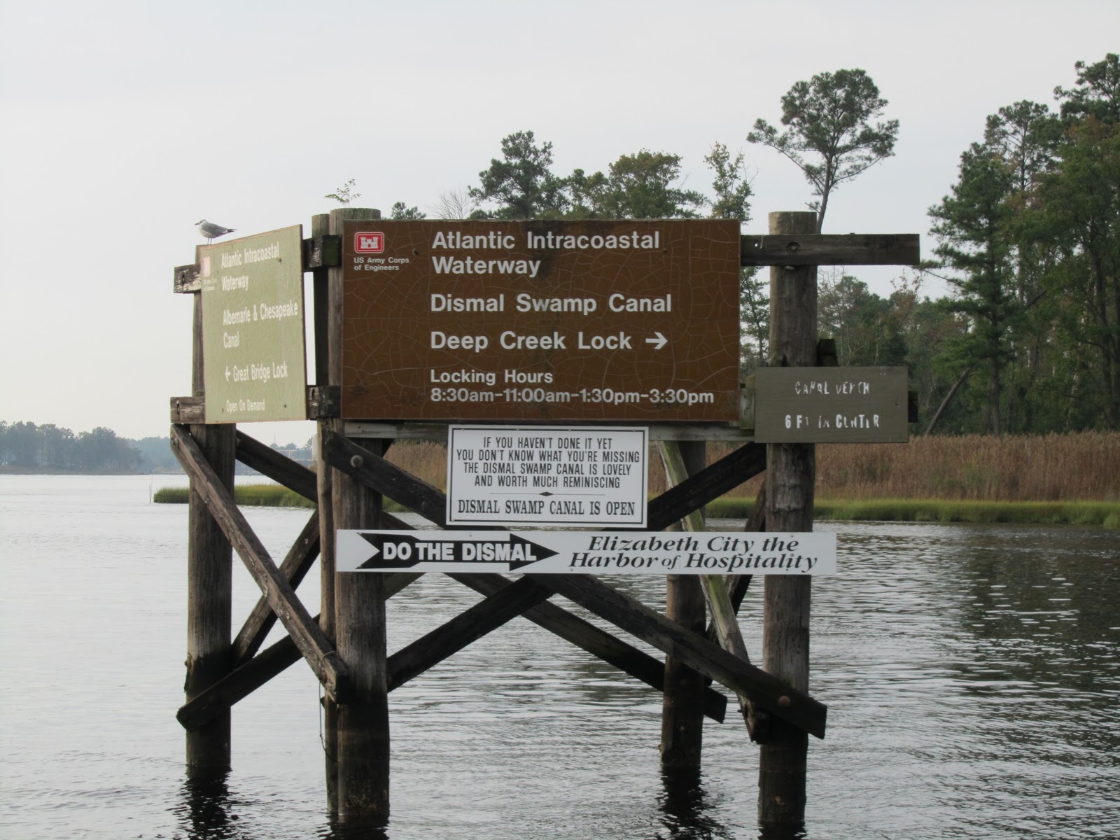 Cape Cod to Key West: The Great Dismal Swamp