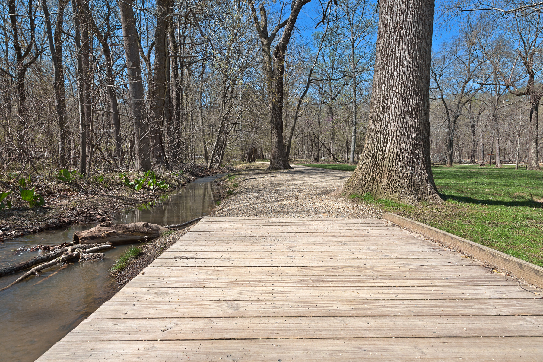 Great falls forest path - hdr photo