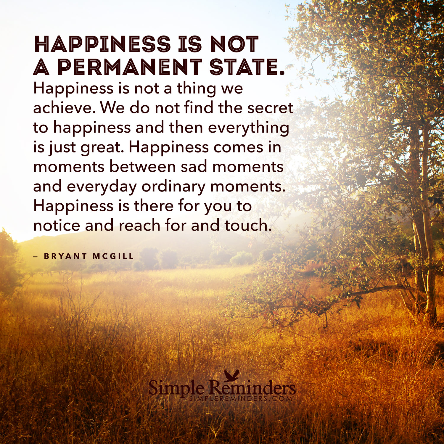 Happiness is not a permanent state by Bryant McGill