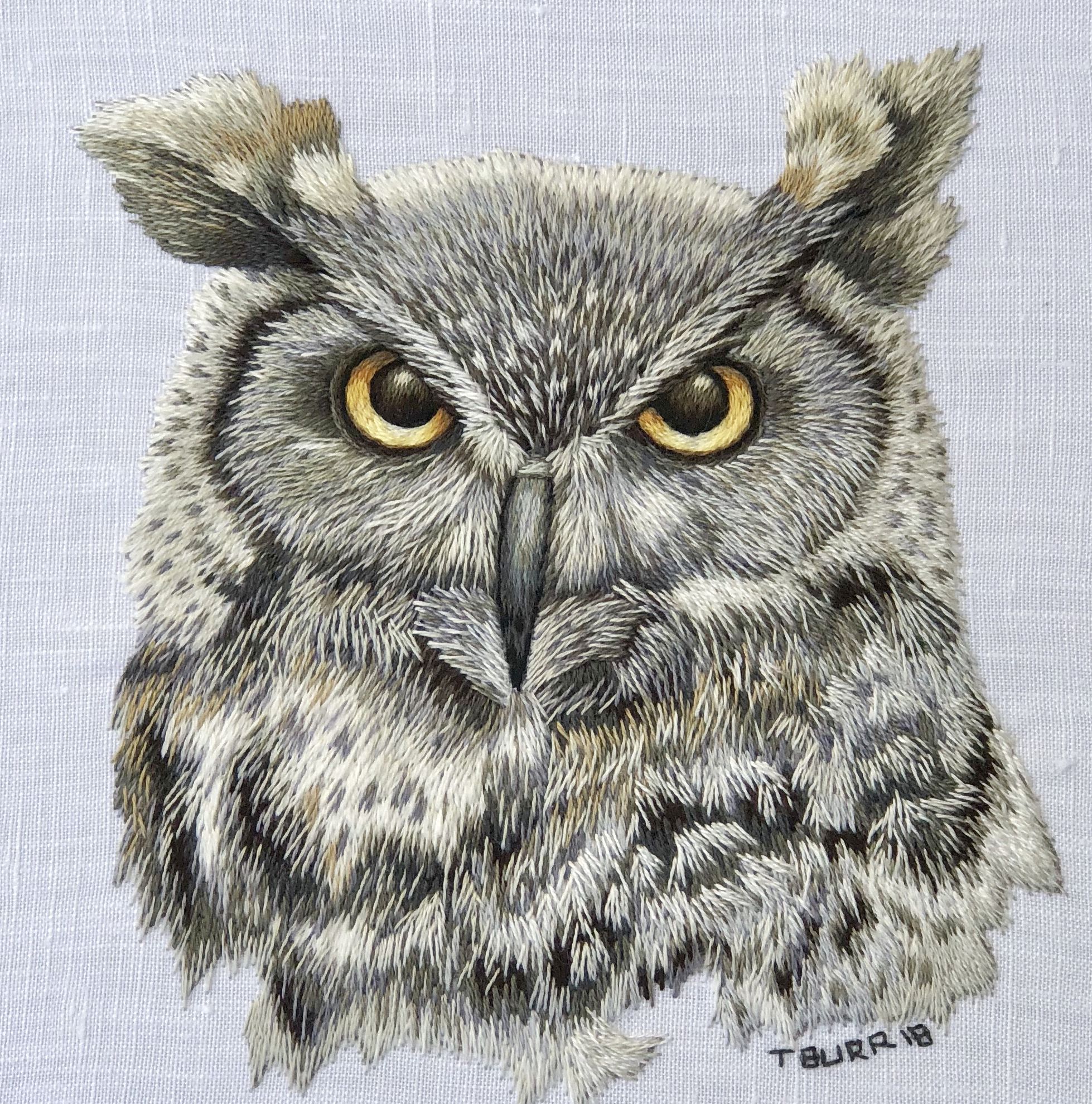 owl-4.jpg
