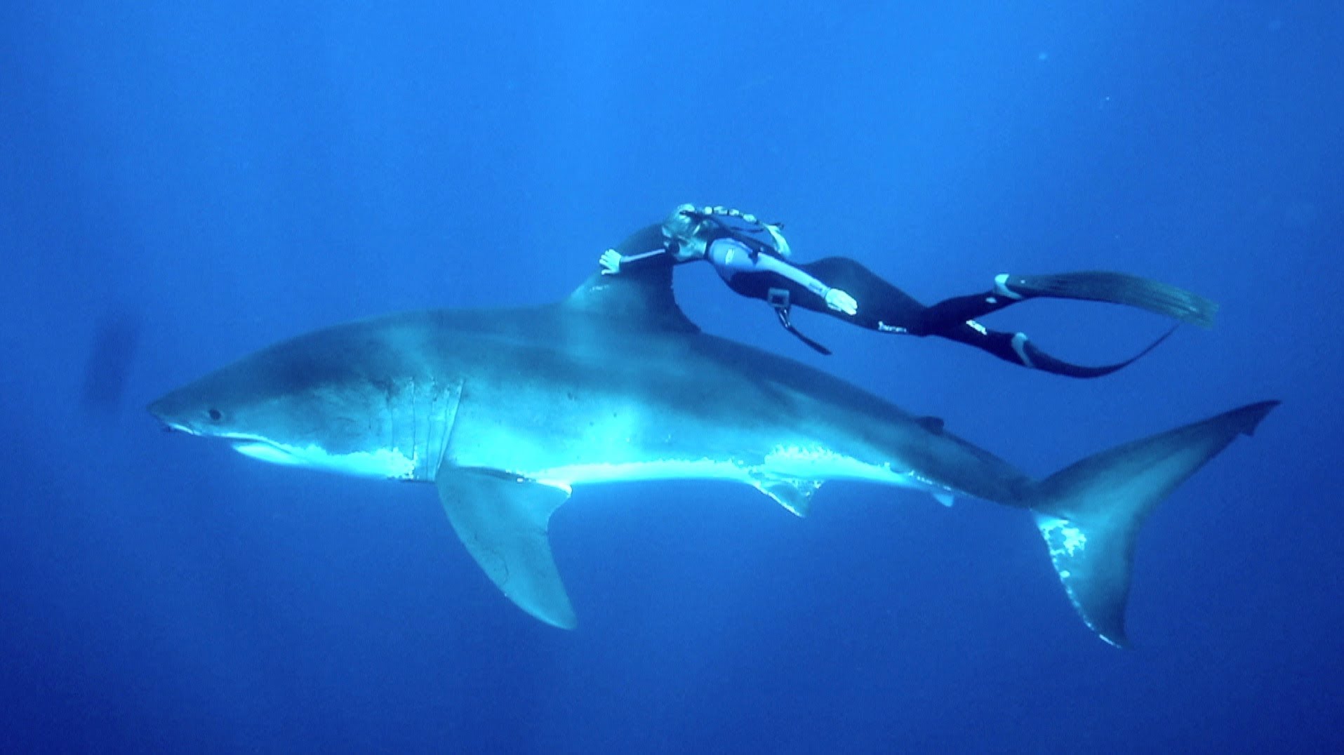 GoPro: Ocean Ramsey and a Great White Shark - YouTube