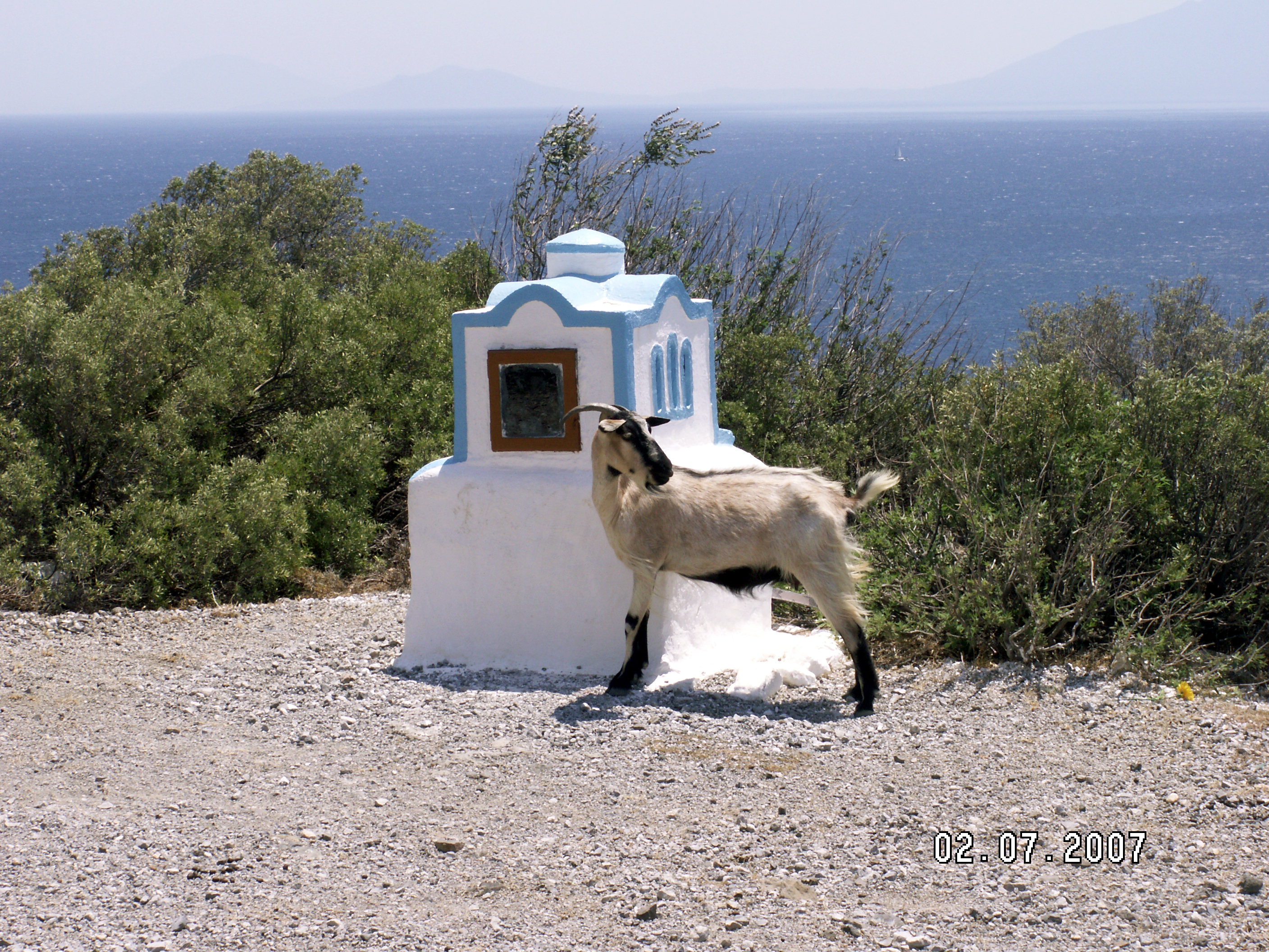 Grecia photo