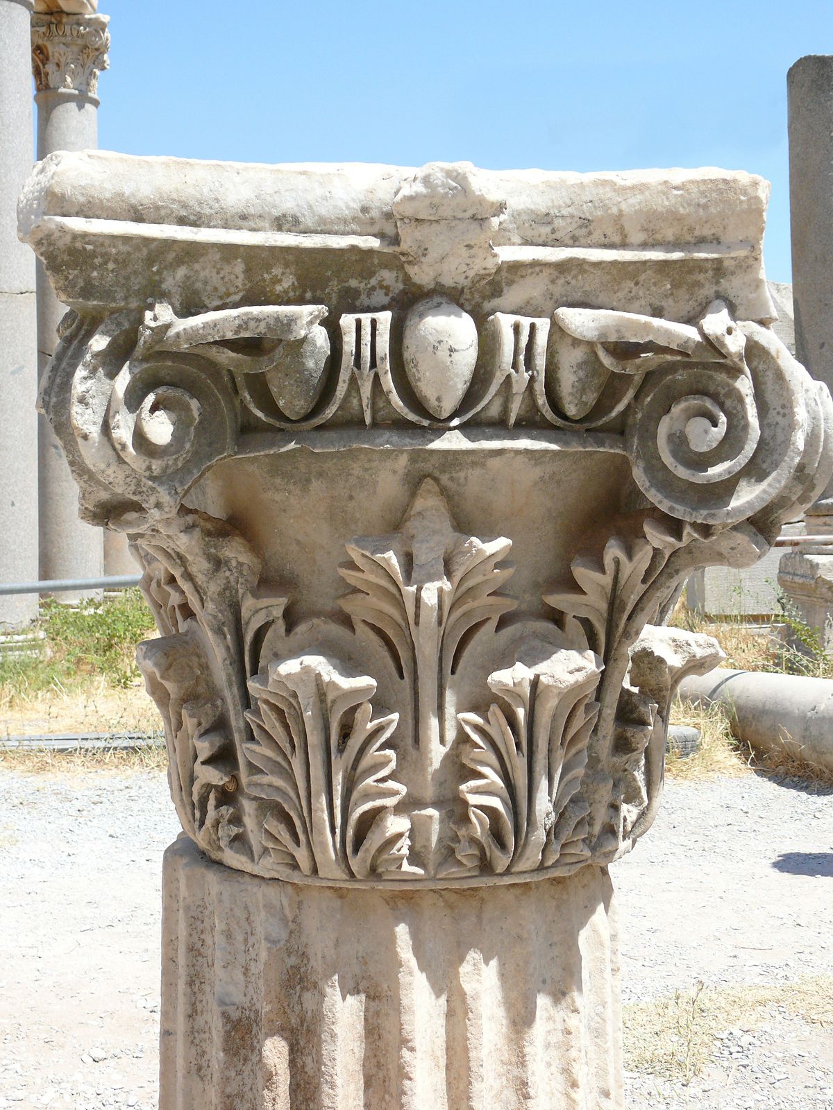 Acanthus (ornament) - Wikipedia