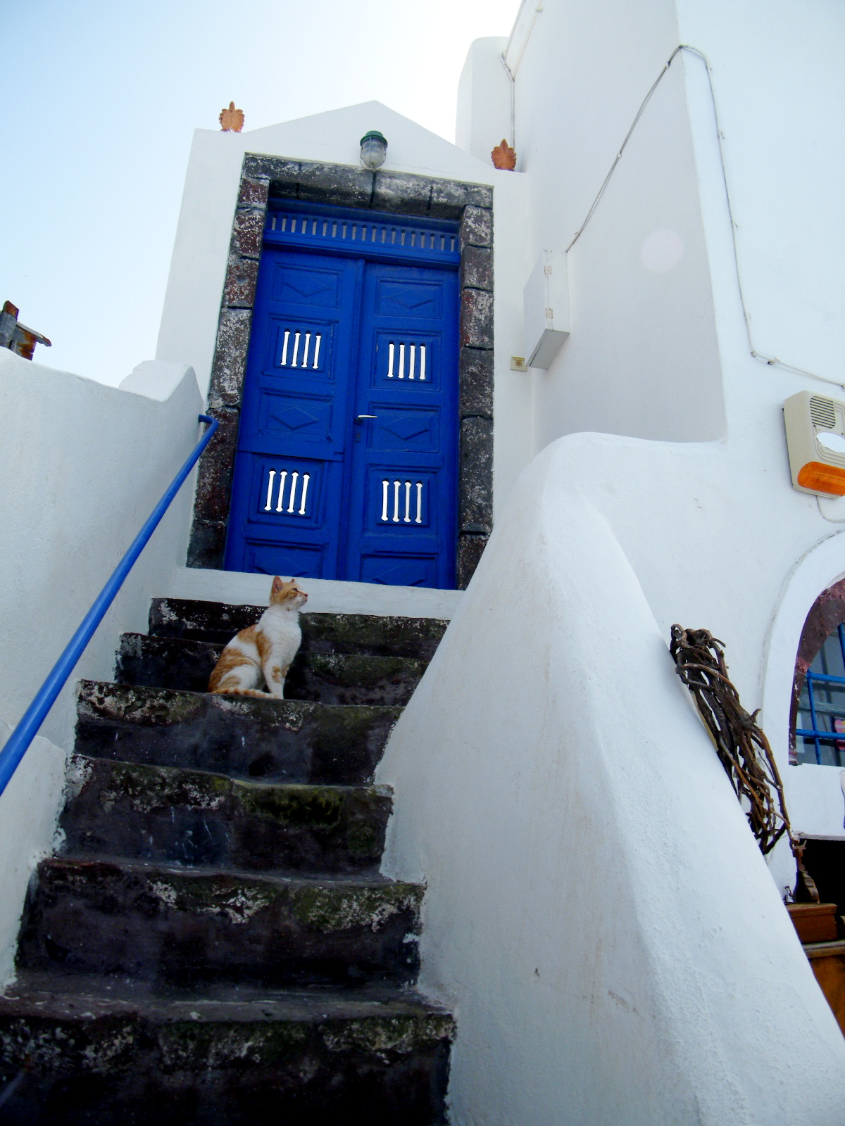 Greek Architecture, Architecture, Buildings, Cat, Door, HQ Photo