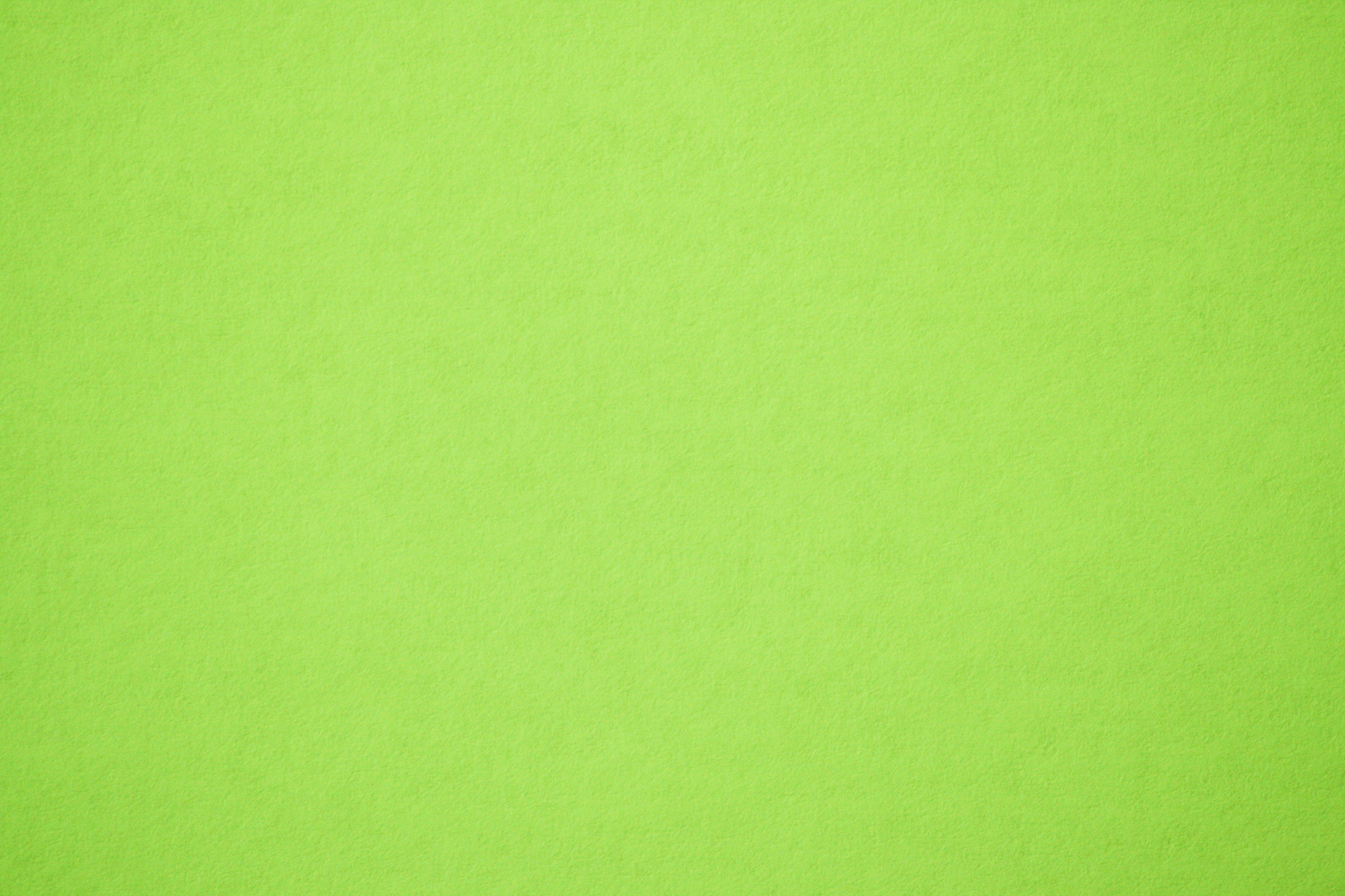 Best Of 20 Images For Light Green Paint Colors - Billion Estates | 25288