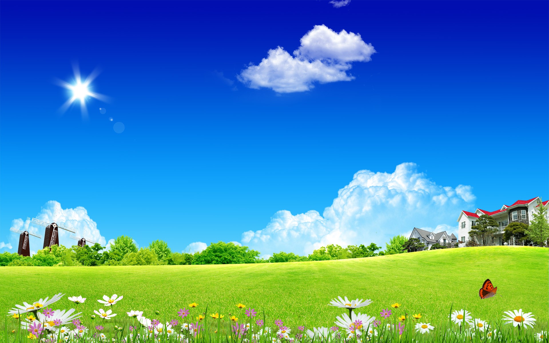 Sky: Beautiful Landscape Fields Grass Abstract Sunny Flowers ...