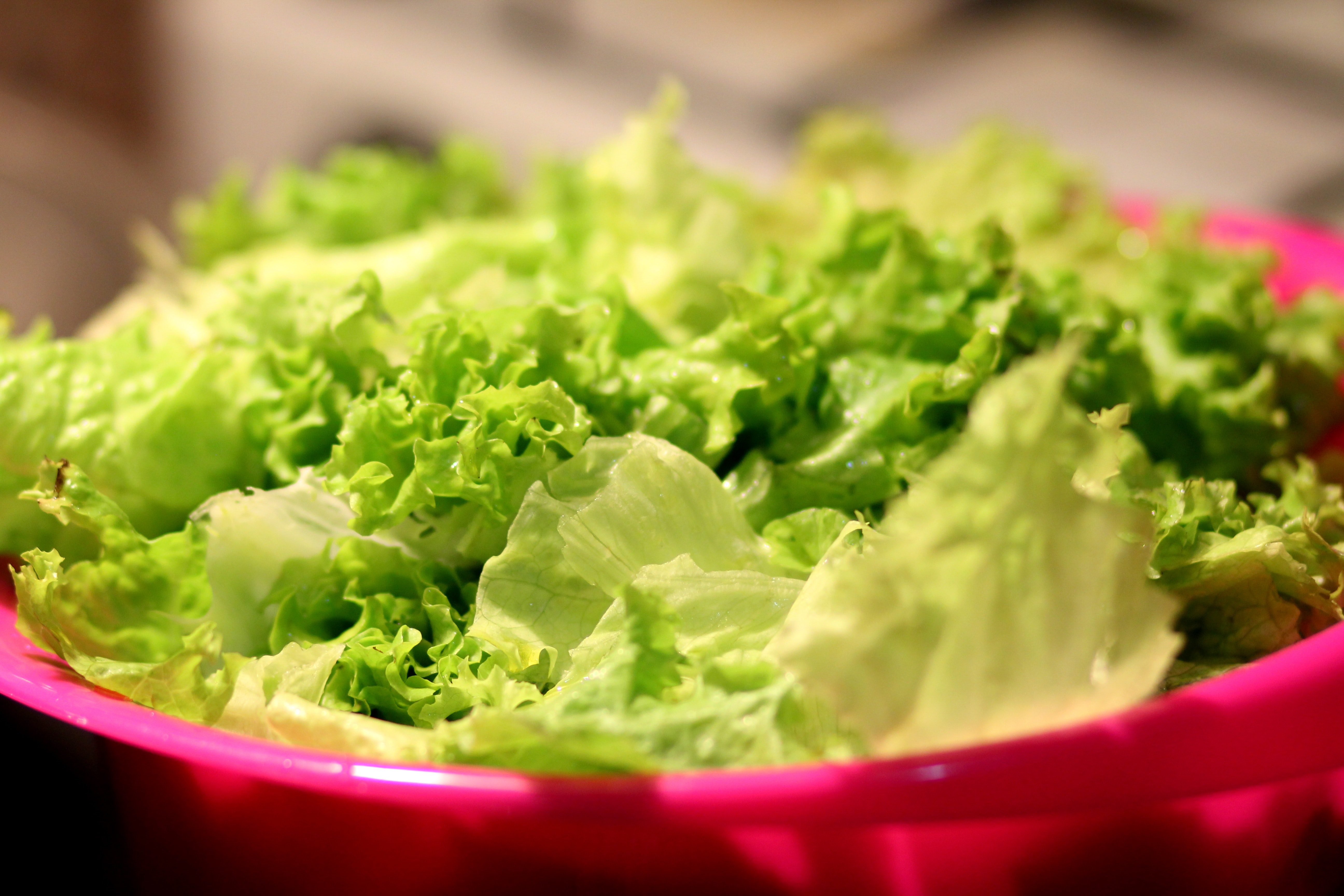 Green and white lettuce photo