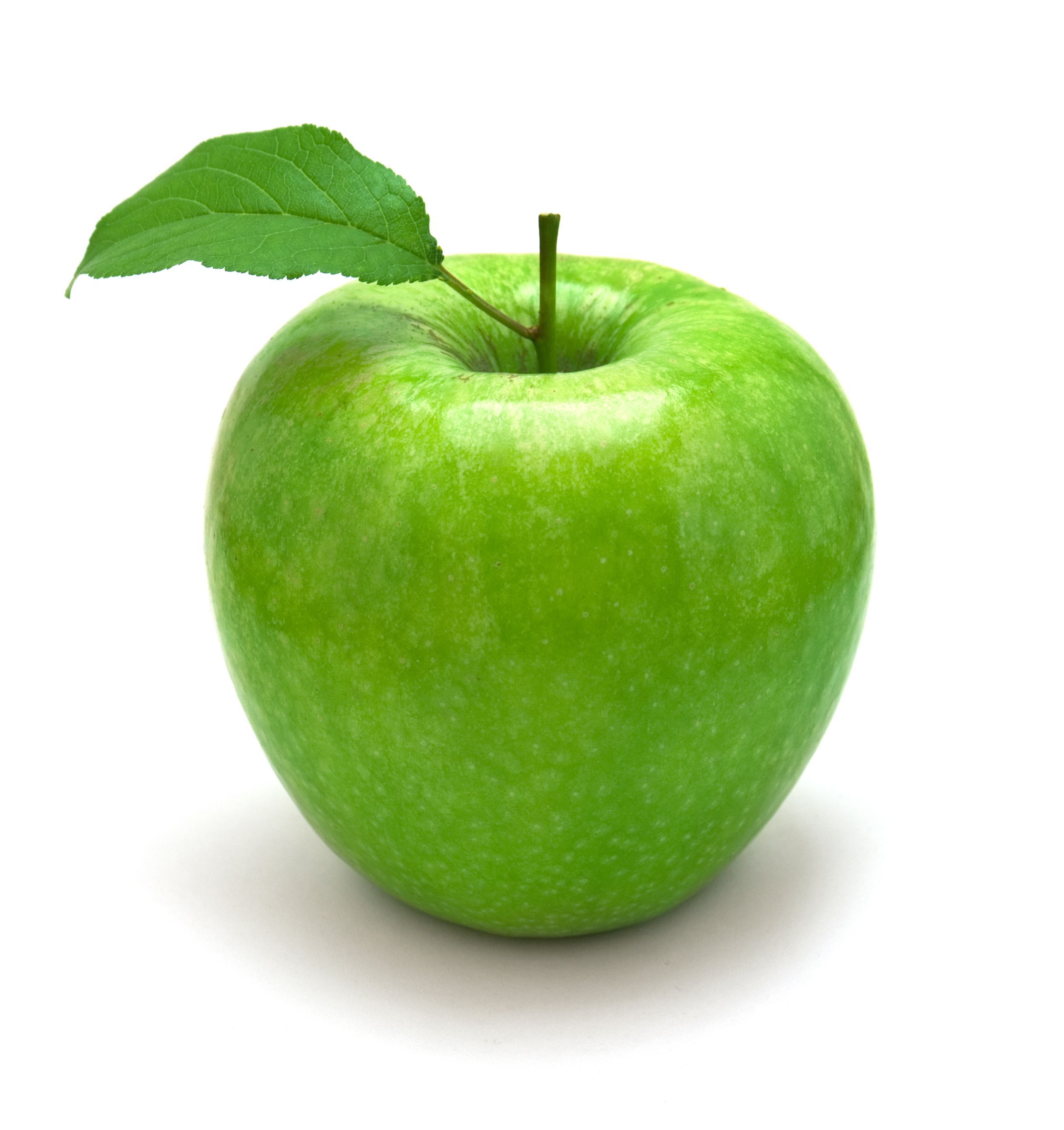 Apple Tree With Green Apples HD desktop wallpaper High | wallpapers ...