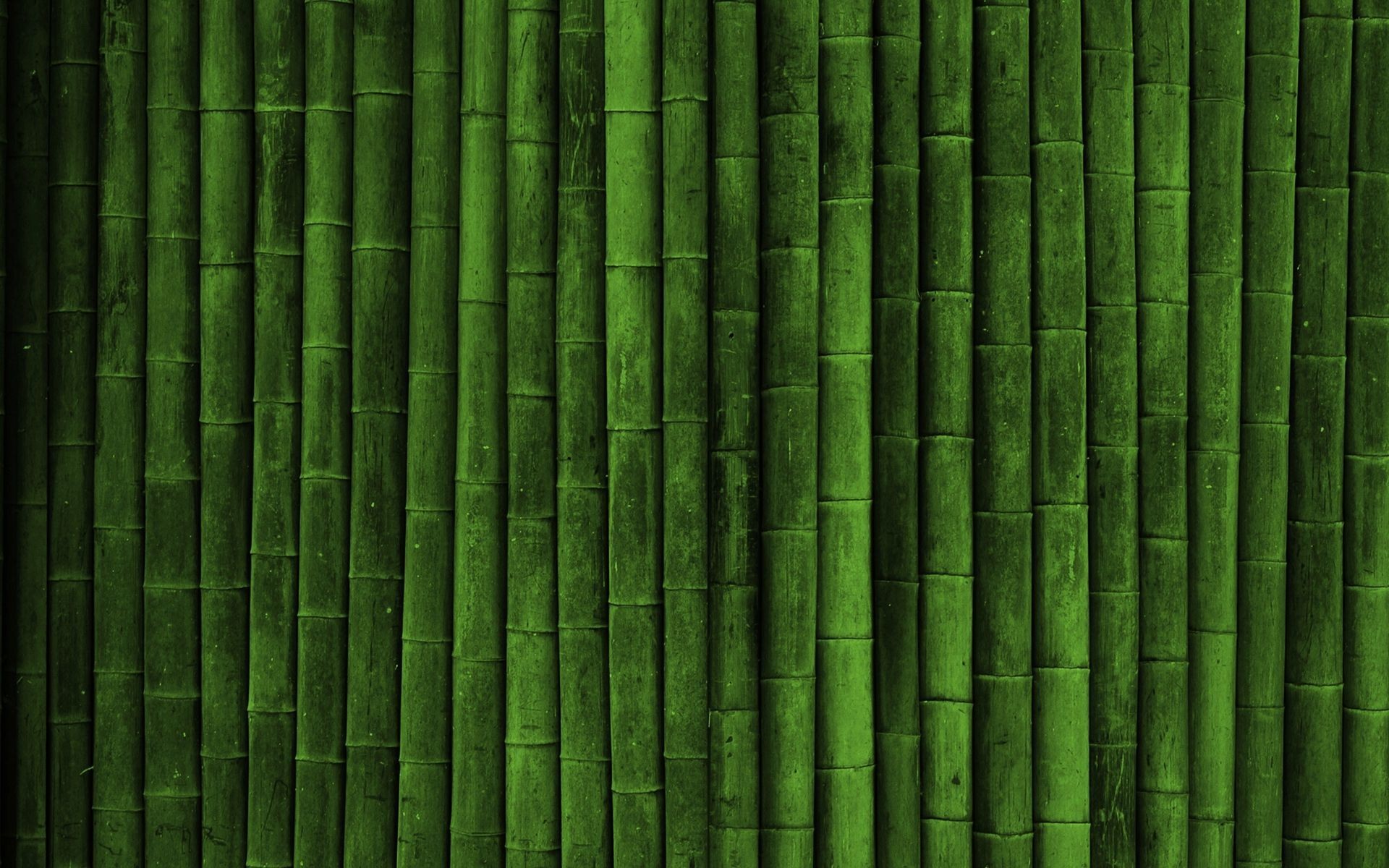 green, bamboo, realistic :: Wallpapers