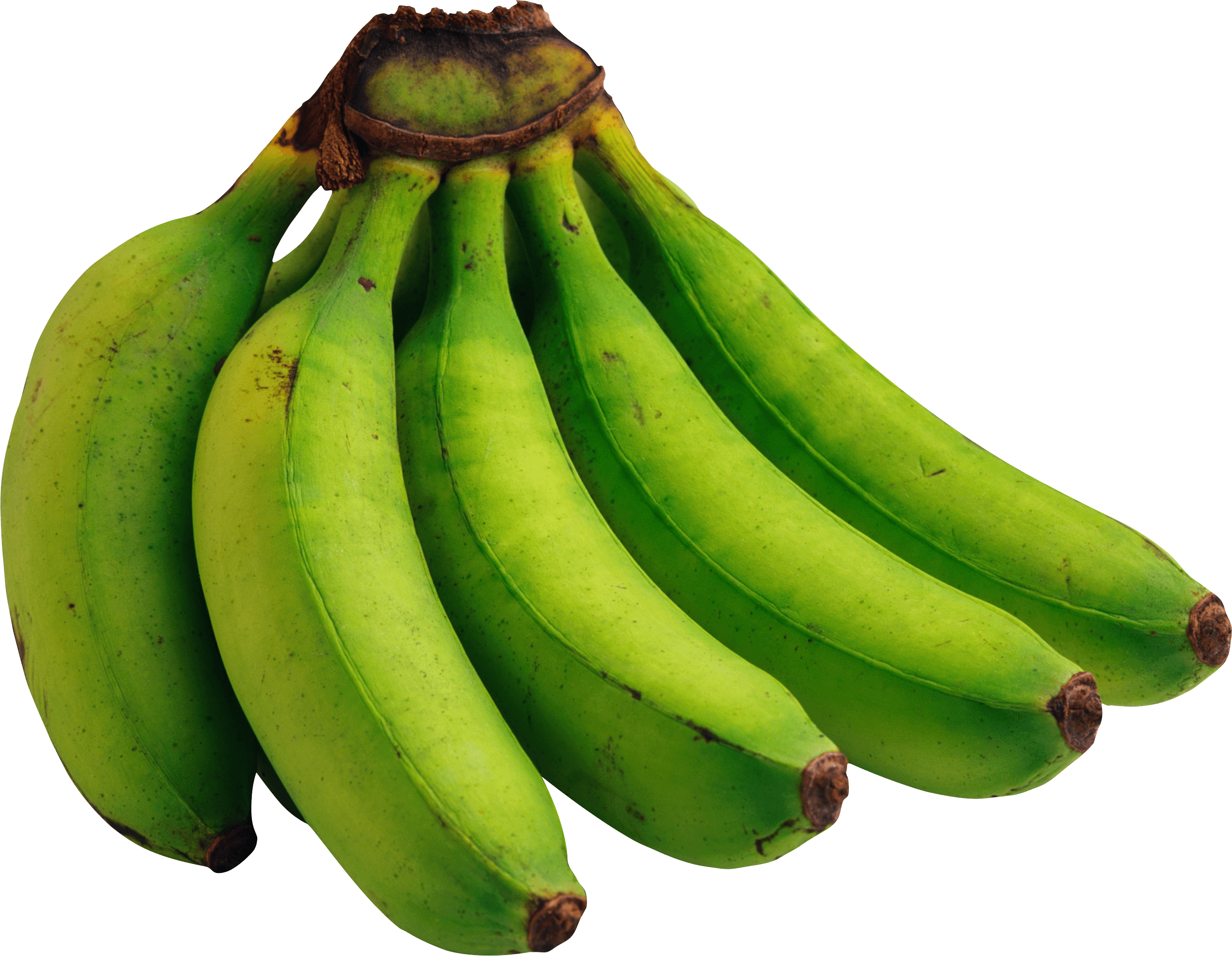 Download Green Bananas Png Image Picture HQ PNG Image | FreePNGImg